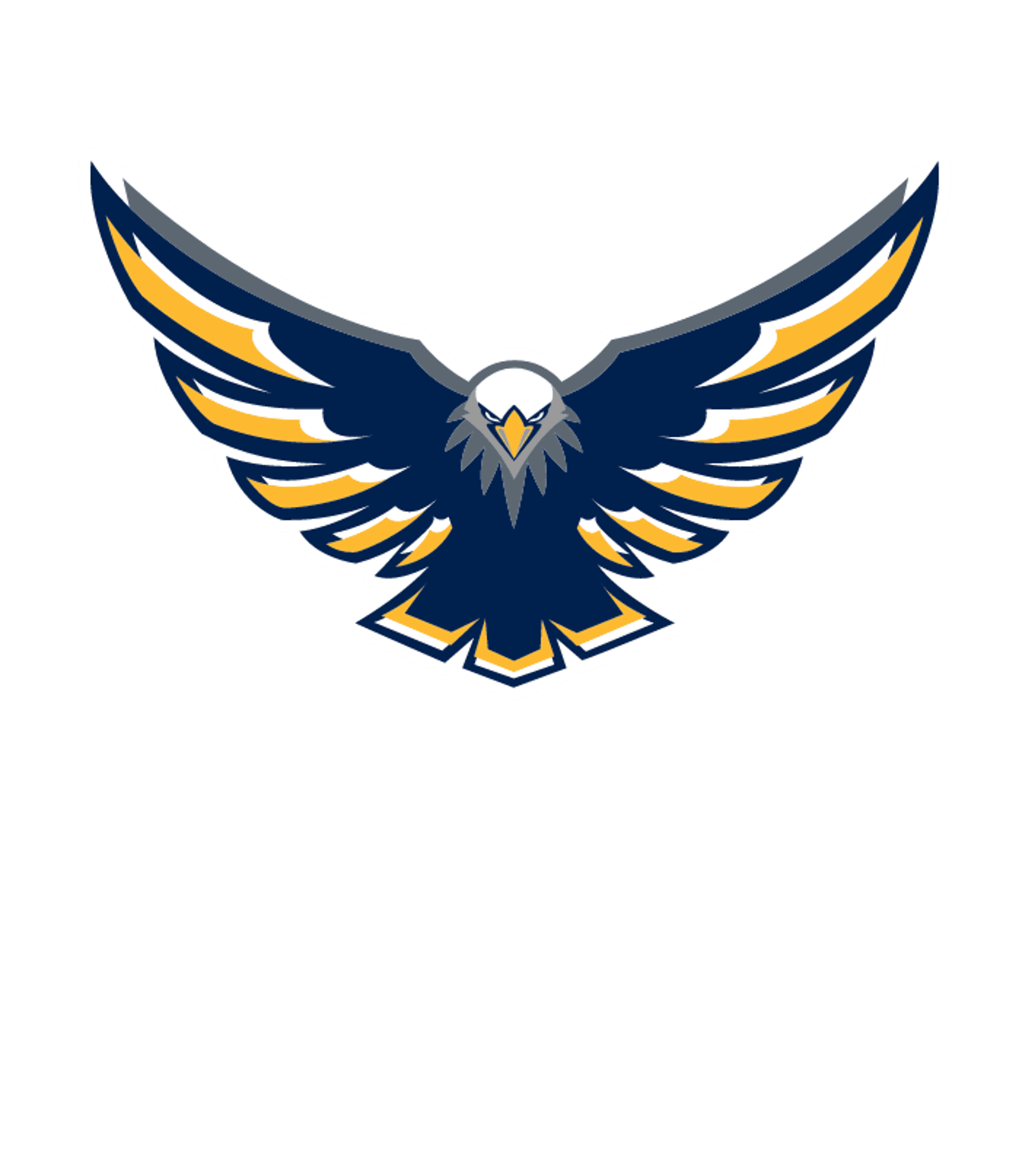 A+ SECONDARY SCHOOL Logo