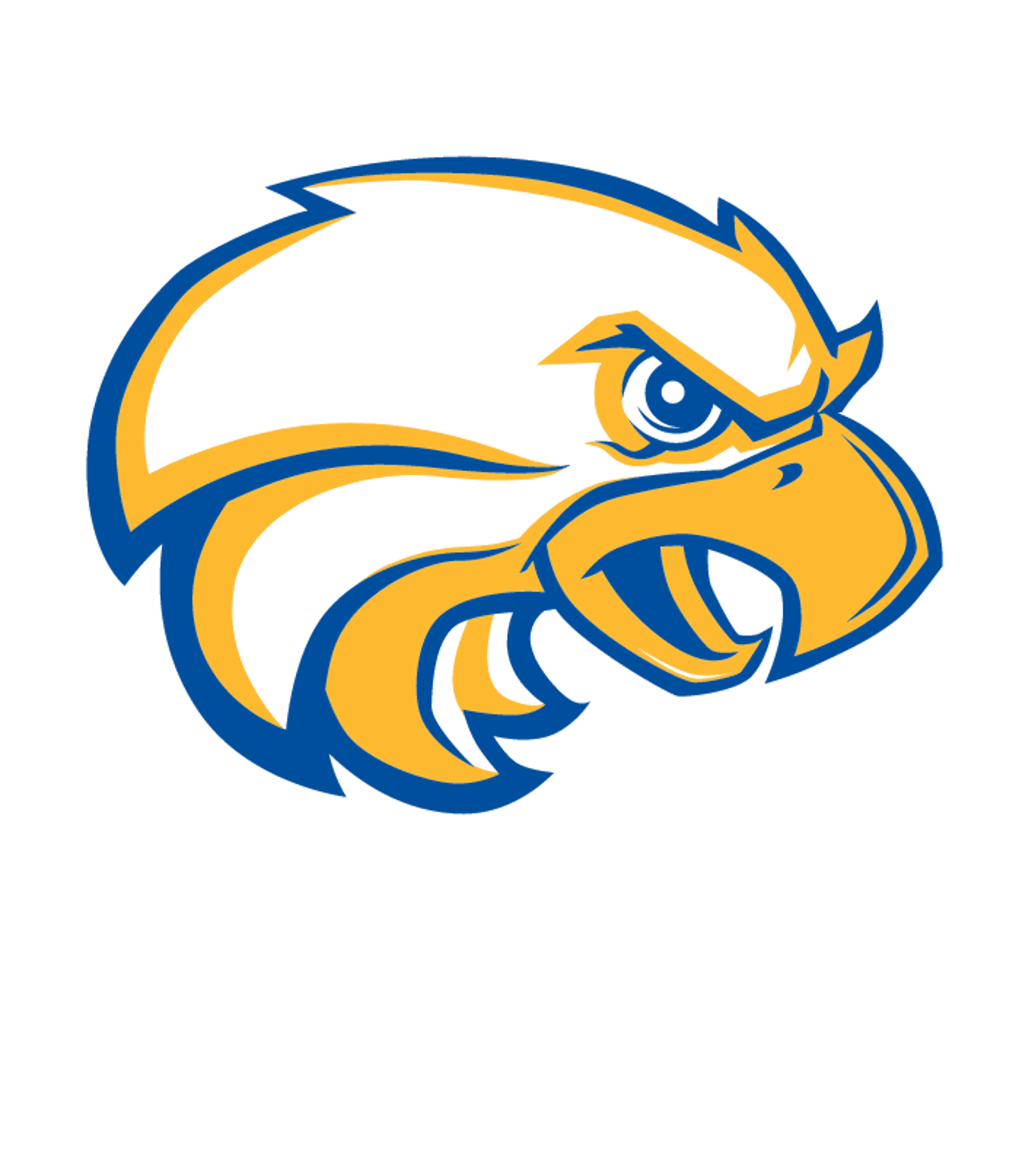ALFRED-ALMOND JUNIOR-SENIOR HIGH SCHOOL Logo