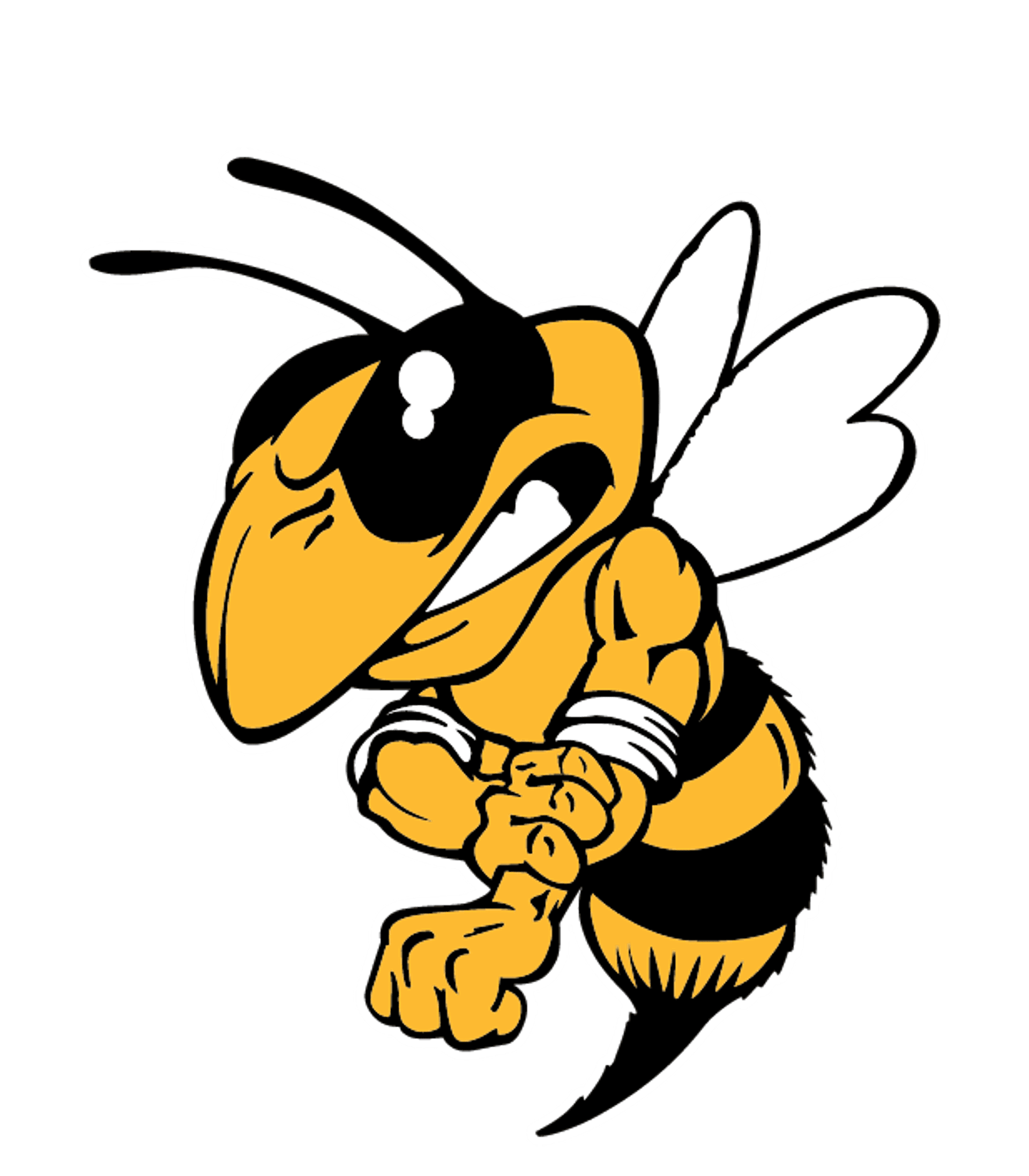 Arcadia High School Logo