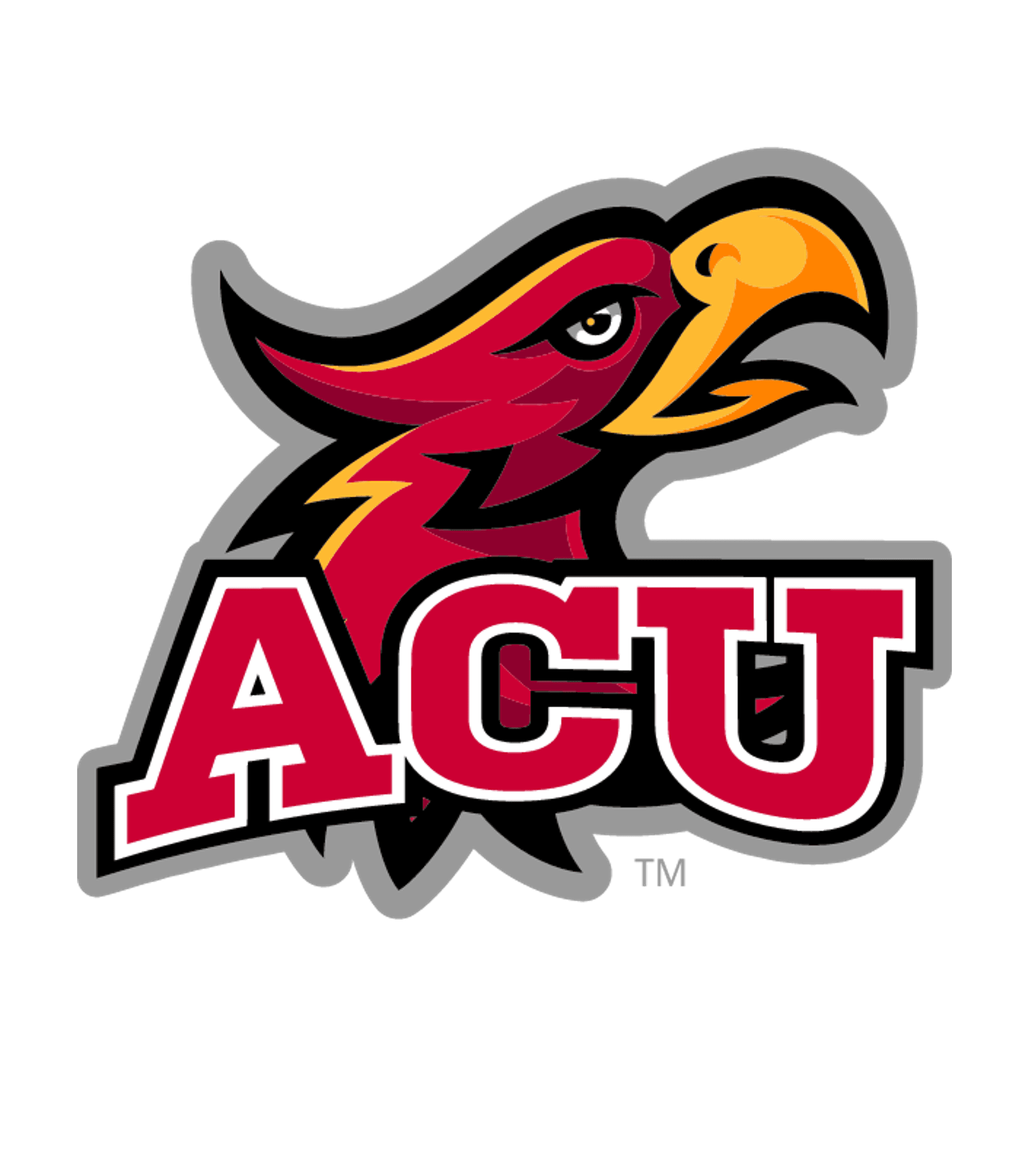 Arizona Insight Academy Logo