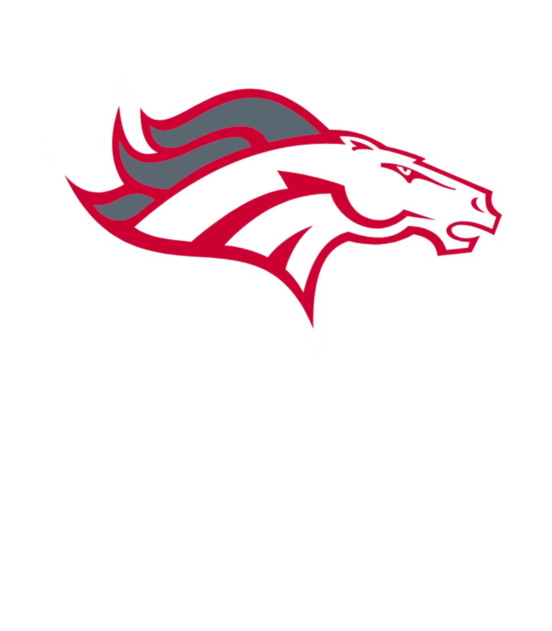 AMHERST HIGH SCHOOL Logo