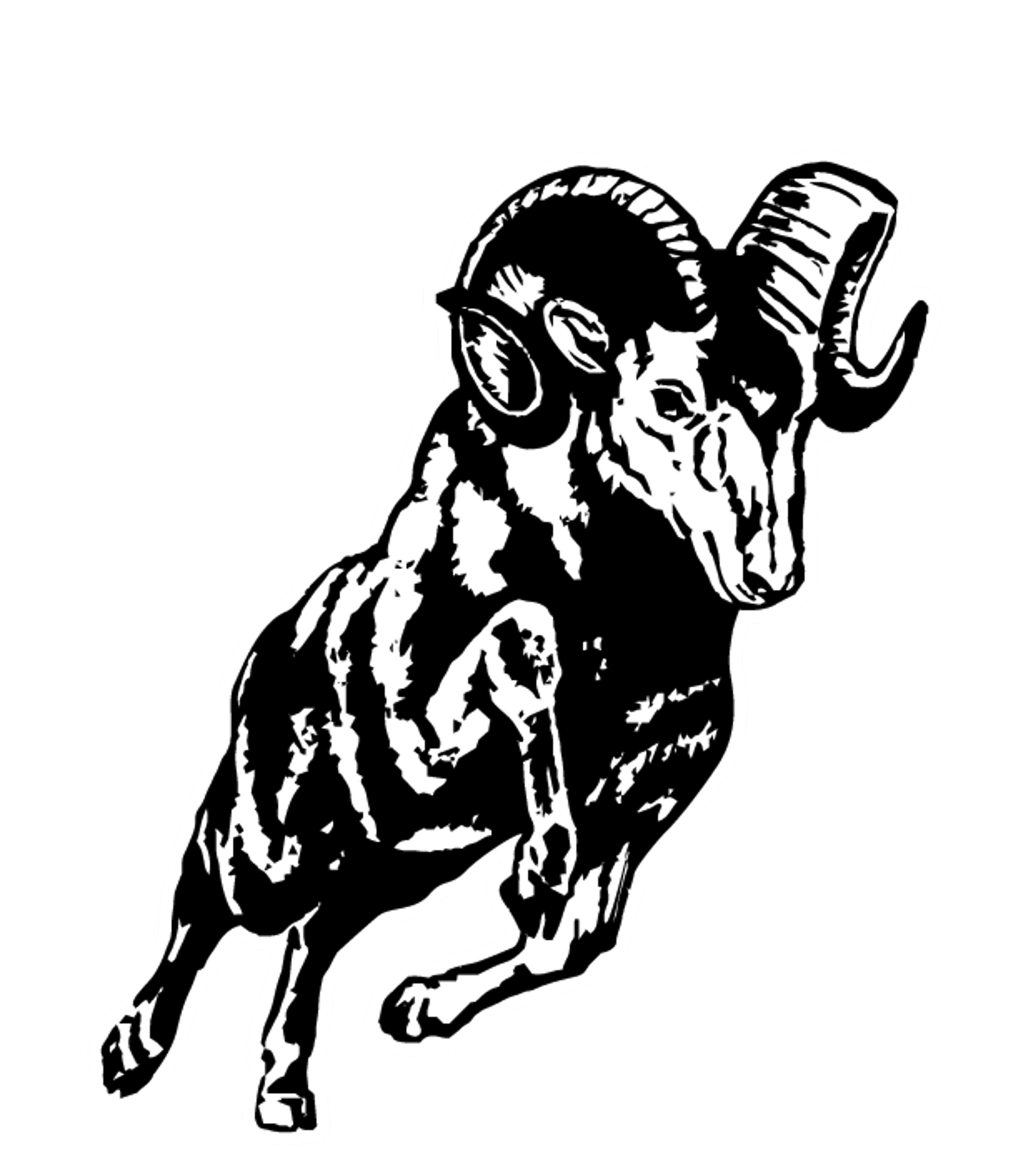 Admiral Arthur W Radford High School Logo