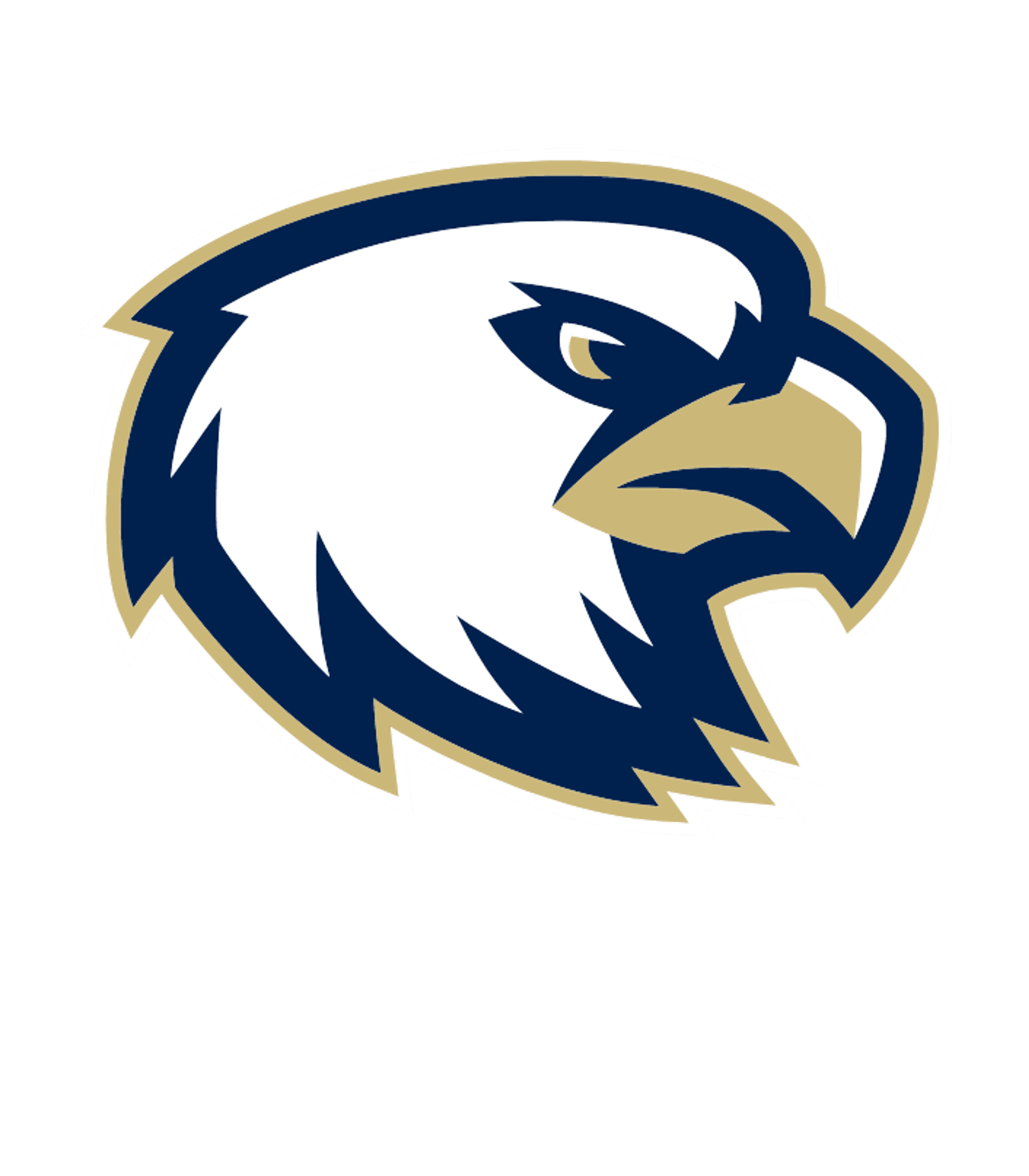 AKINS H S Logo