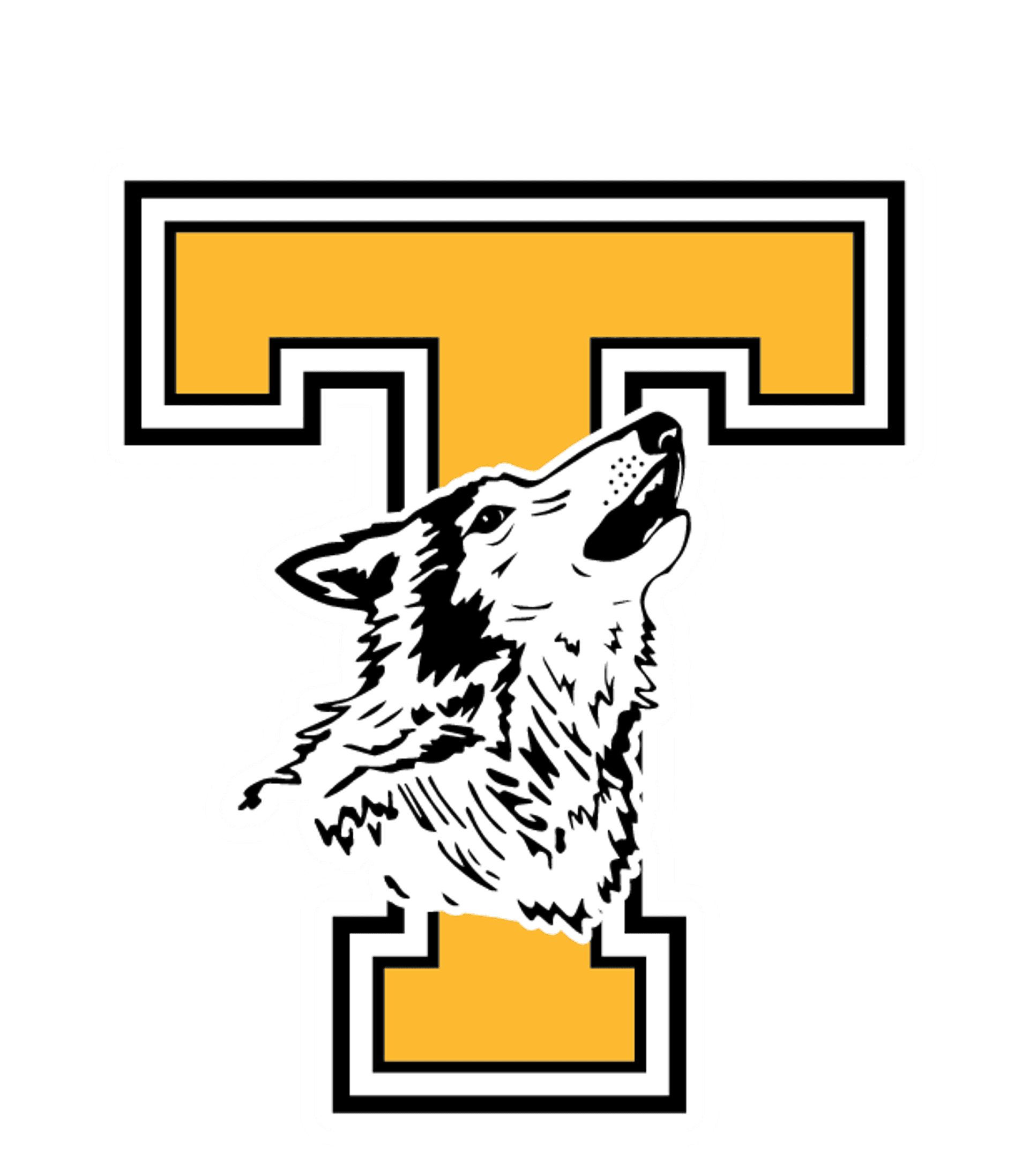Tomahawk High Logo