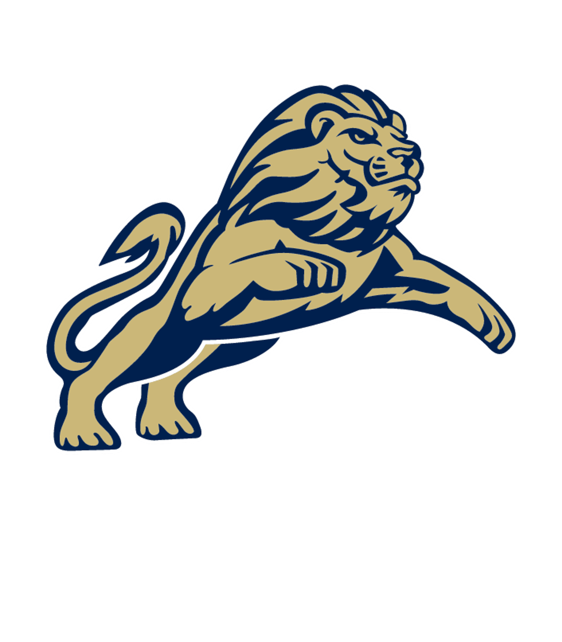 SOUTH OAK CLIFF H S Logo