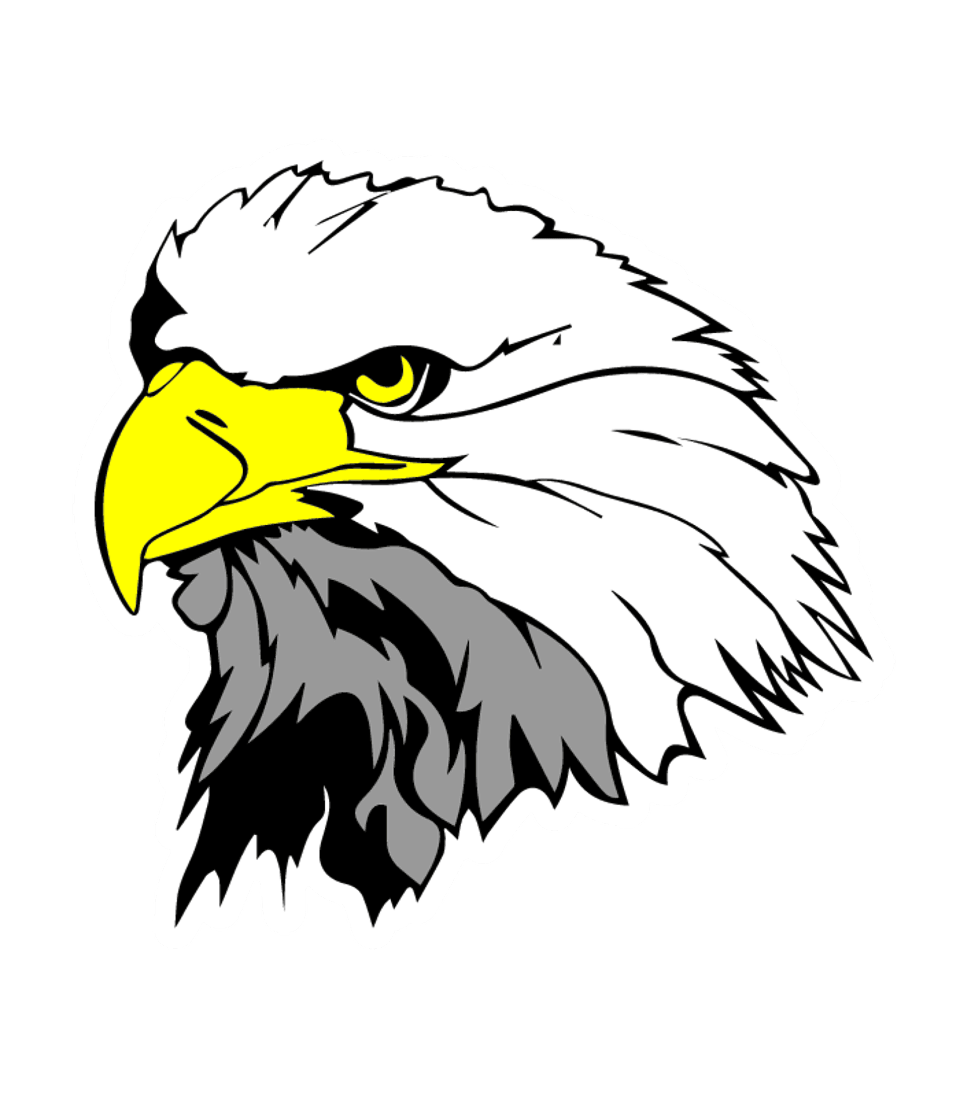 ENDERLIN AREA HIGH SCHOOL Logo