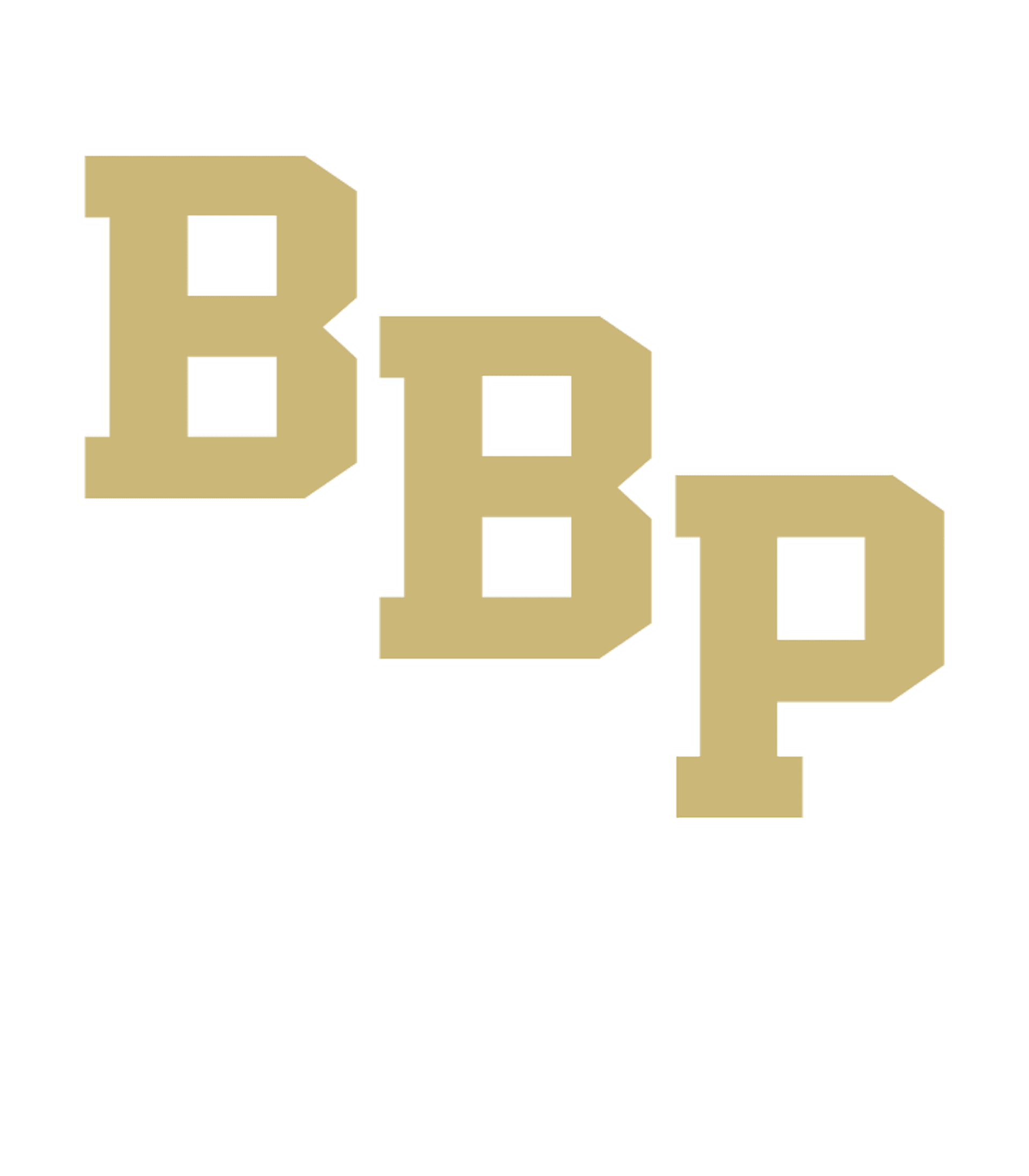 BAYPORT-BLUE POINT HIGH SCHOOL Logo