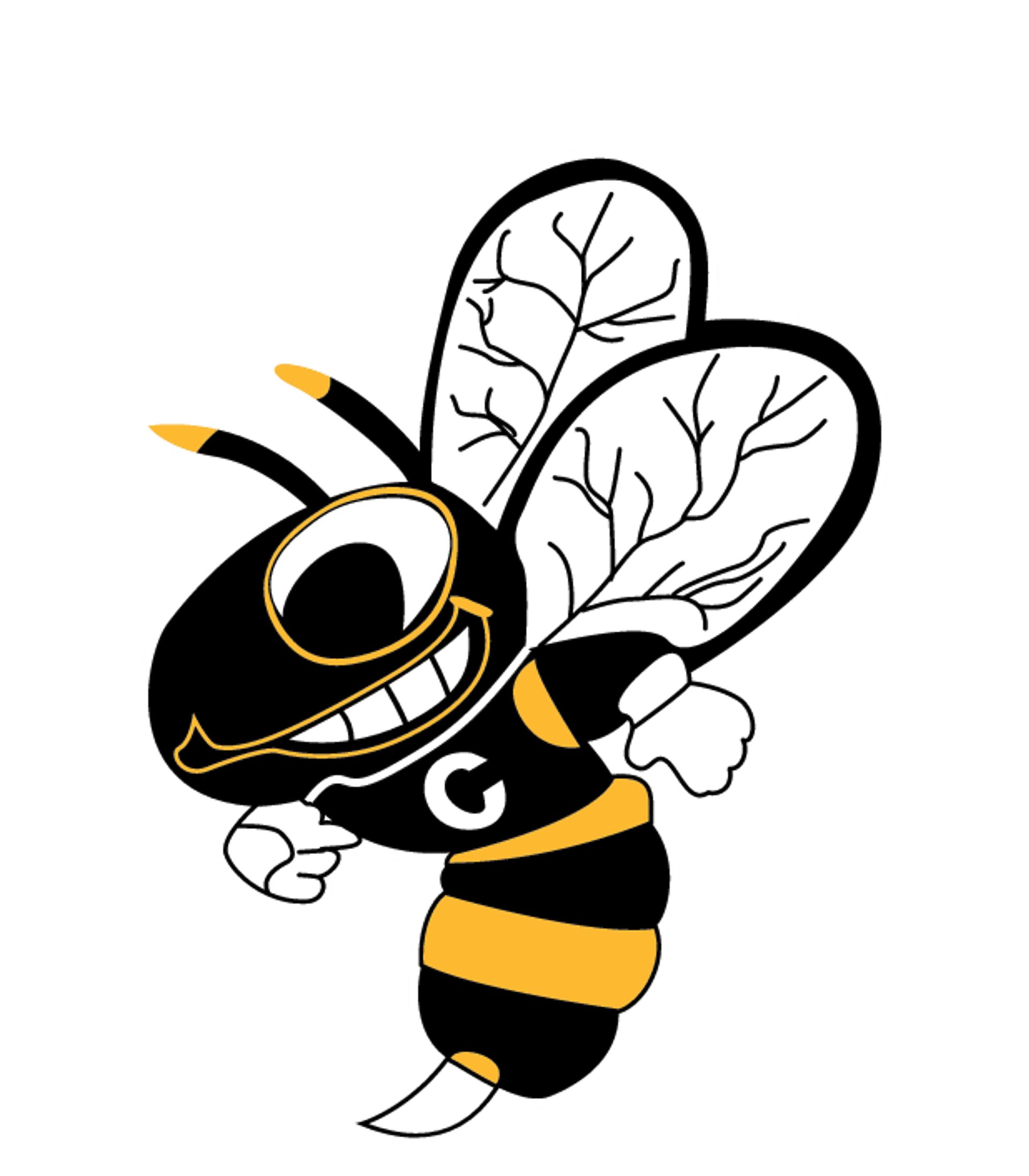 Cadott High Logo