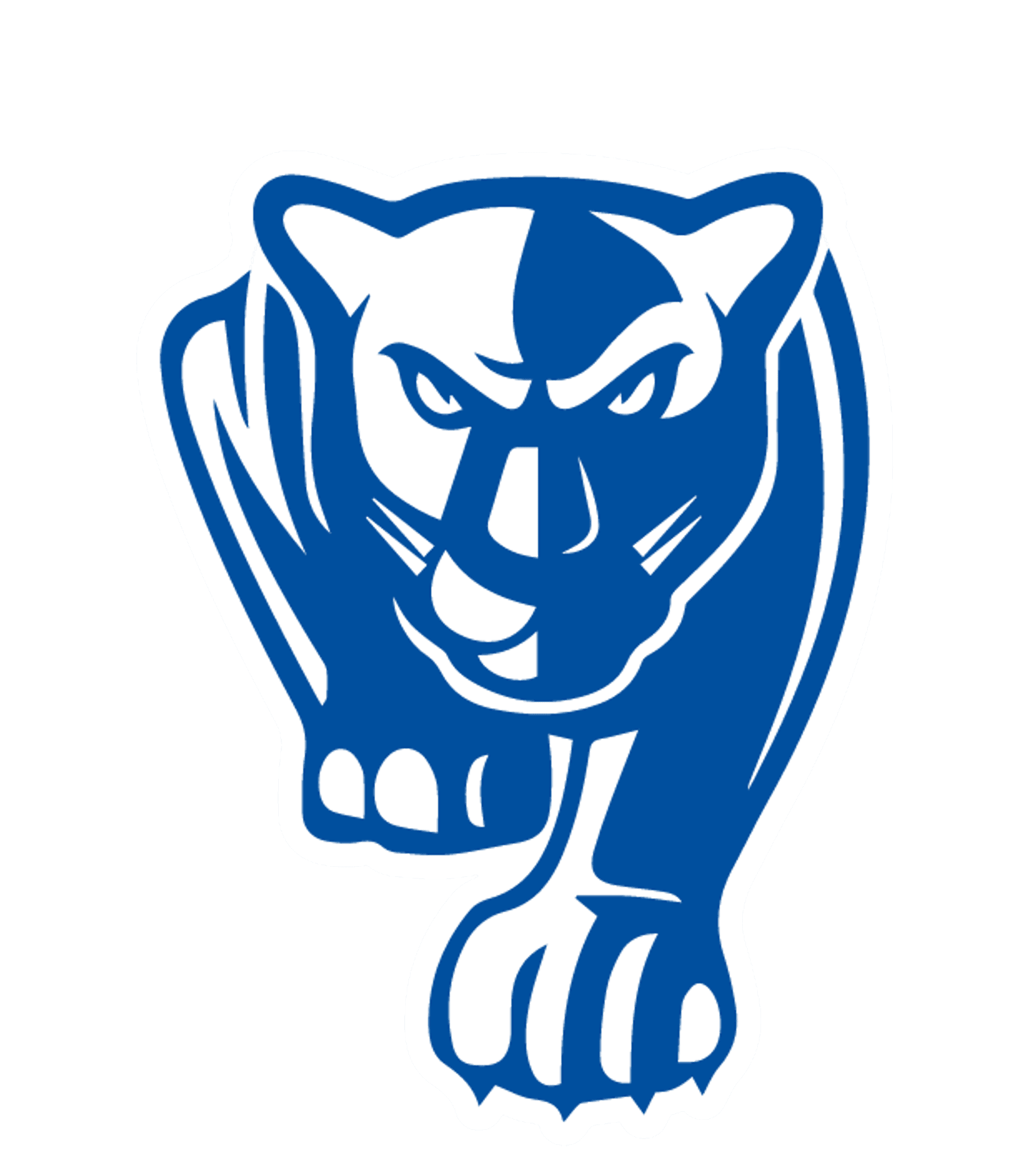CAMPBELL-SAVONA JUNIOR/SENIOR HIGH SCHOOL Logo