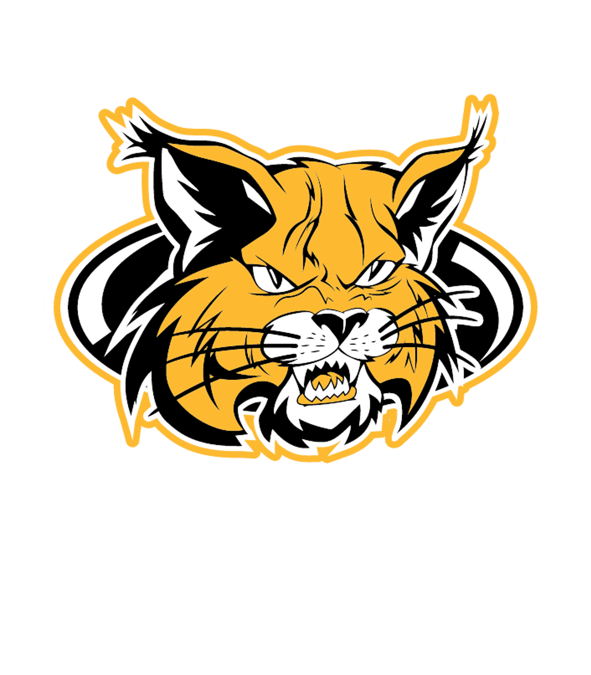 F. W. BUCHHOLZ HIGH SCHOOL Logo