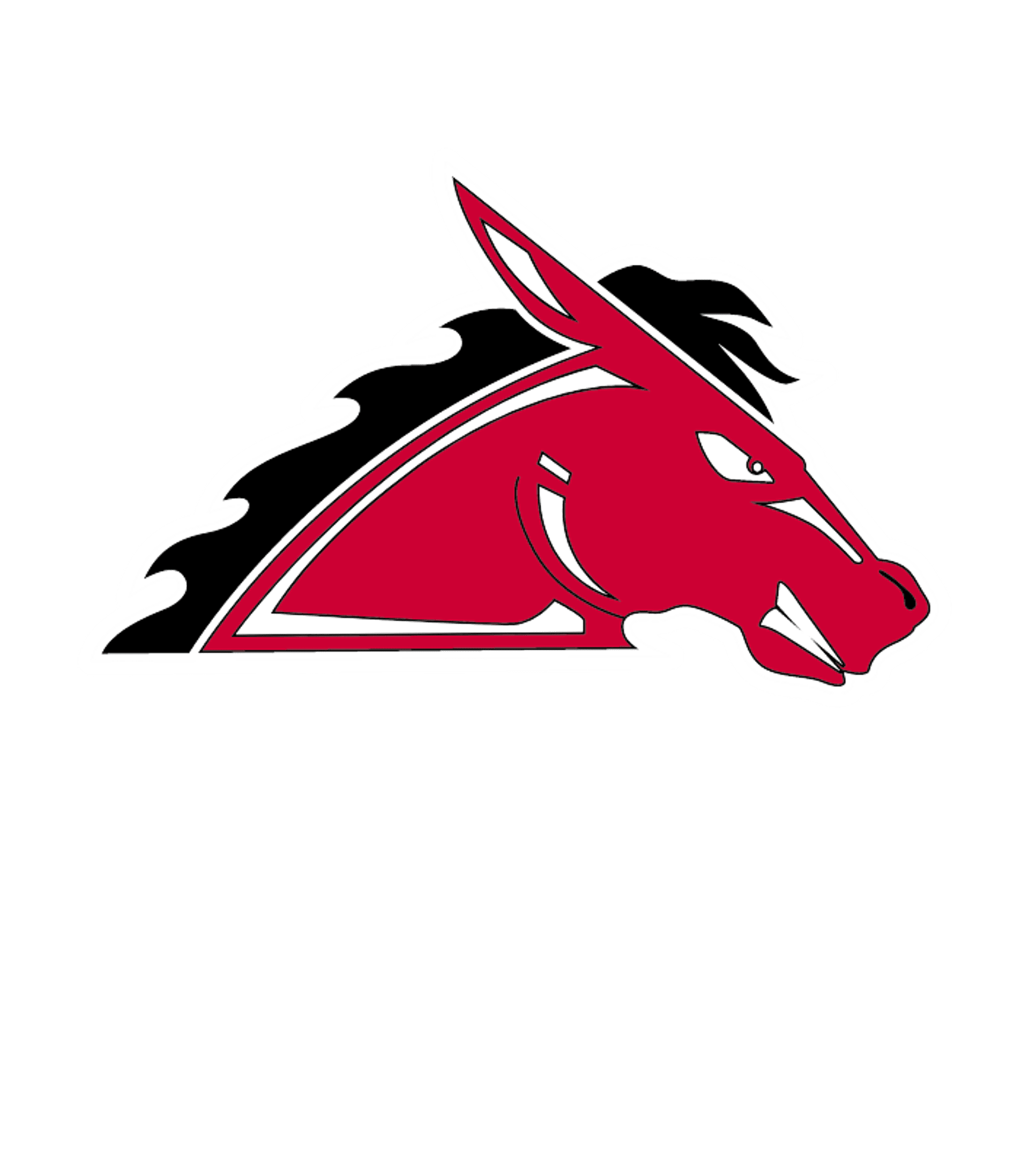 Fairfield Comm High School Logo