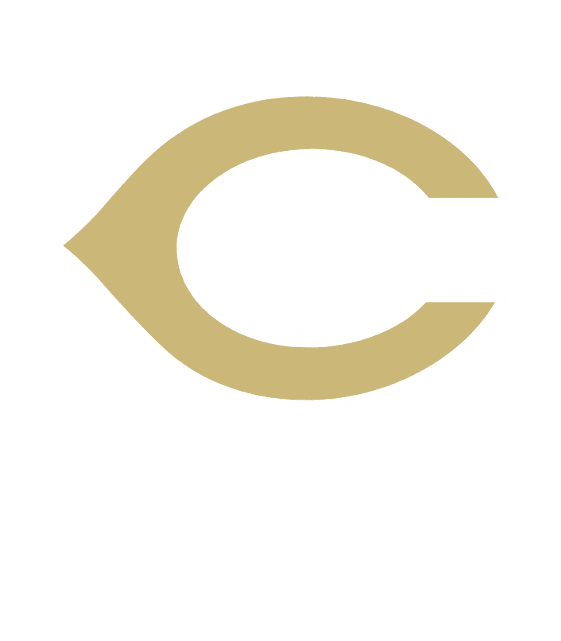 CANADIAN H S Logo