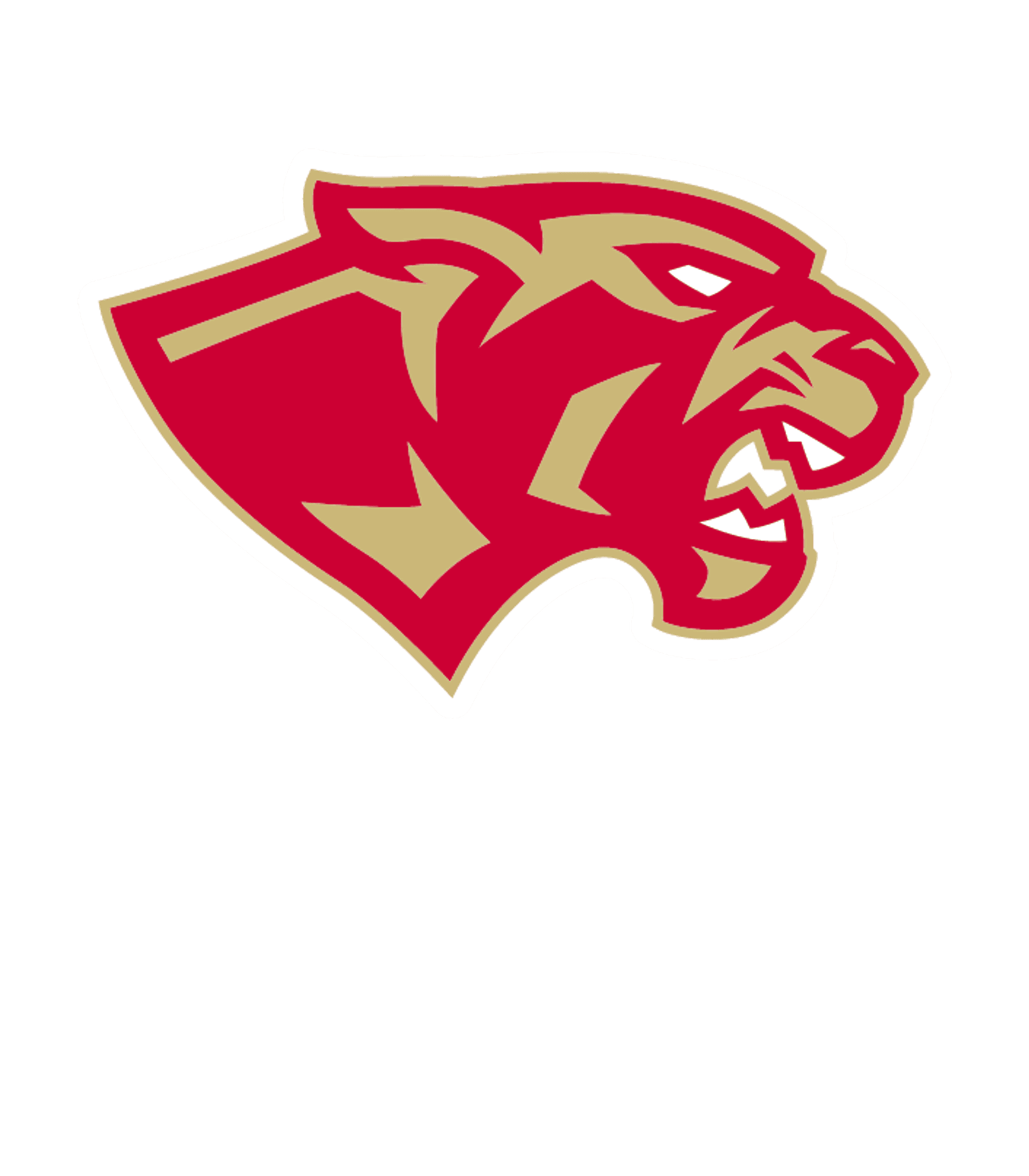 CANEY CREEK H S Logo