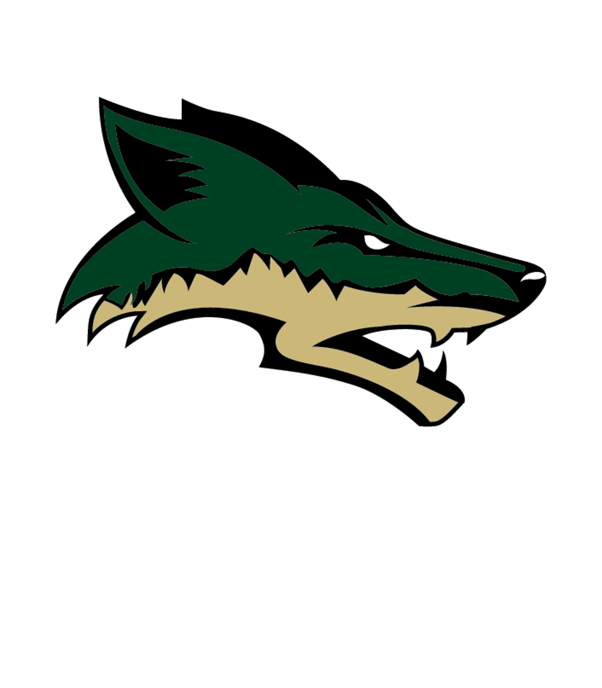 EVIT - Skyline High School Logo