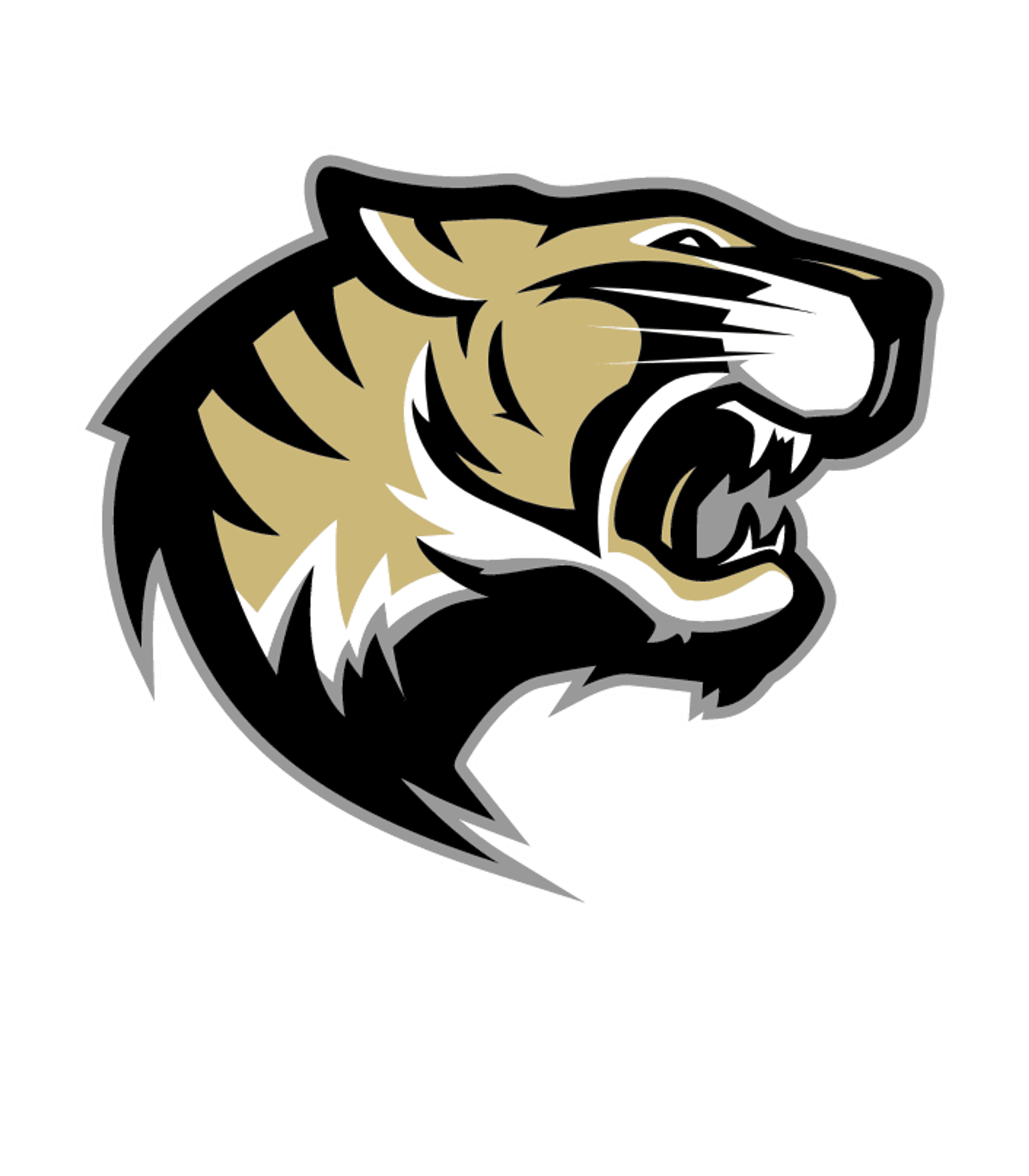 BB Comer Memorial High School Logo
