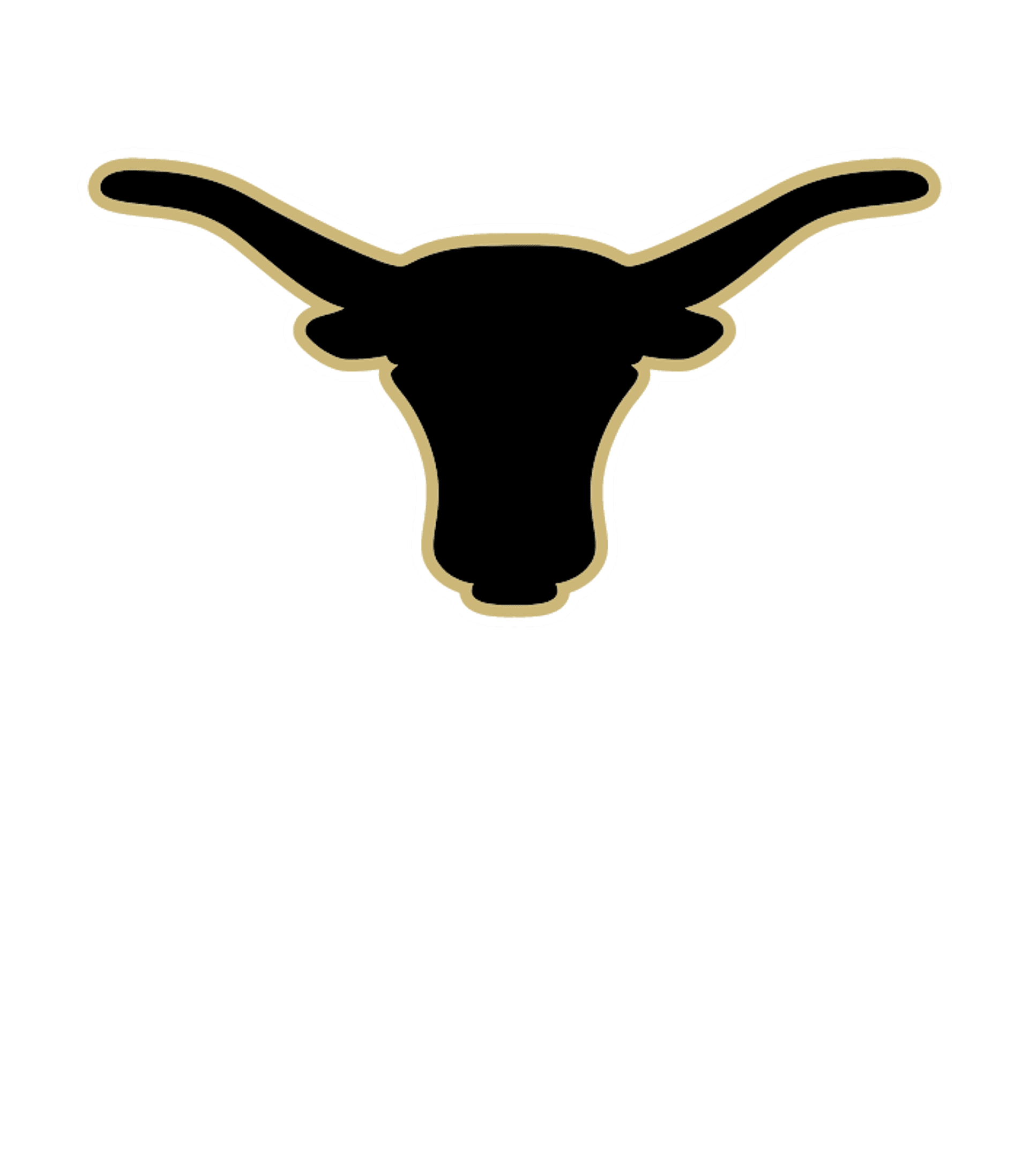 HEBBRONVILLE H S Logo