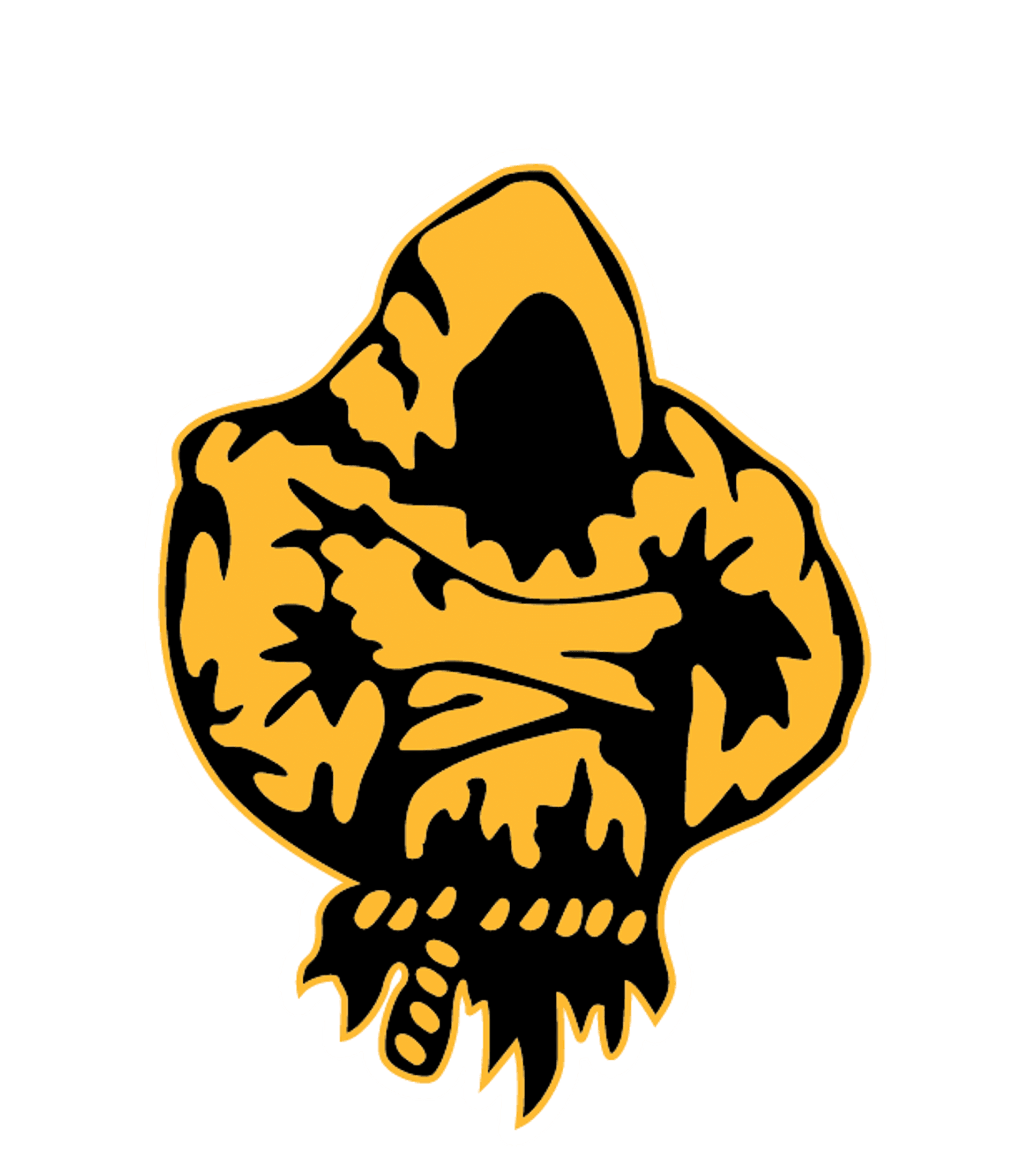 EVIT - Marcos De Niza High School Logo