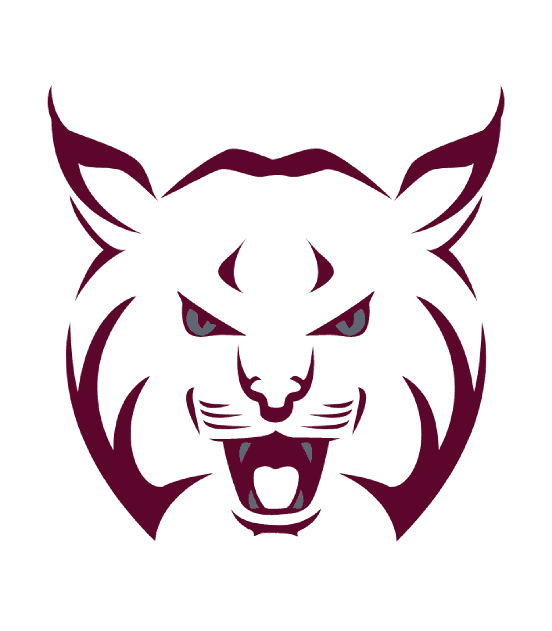 Beaver Falls Area SHS Logo