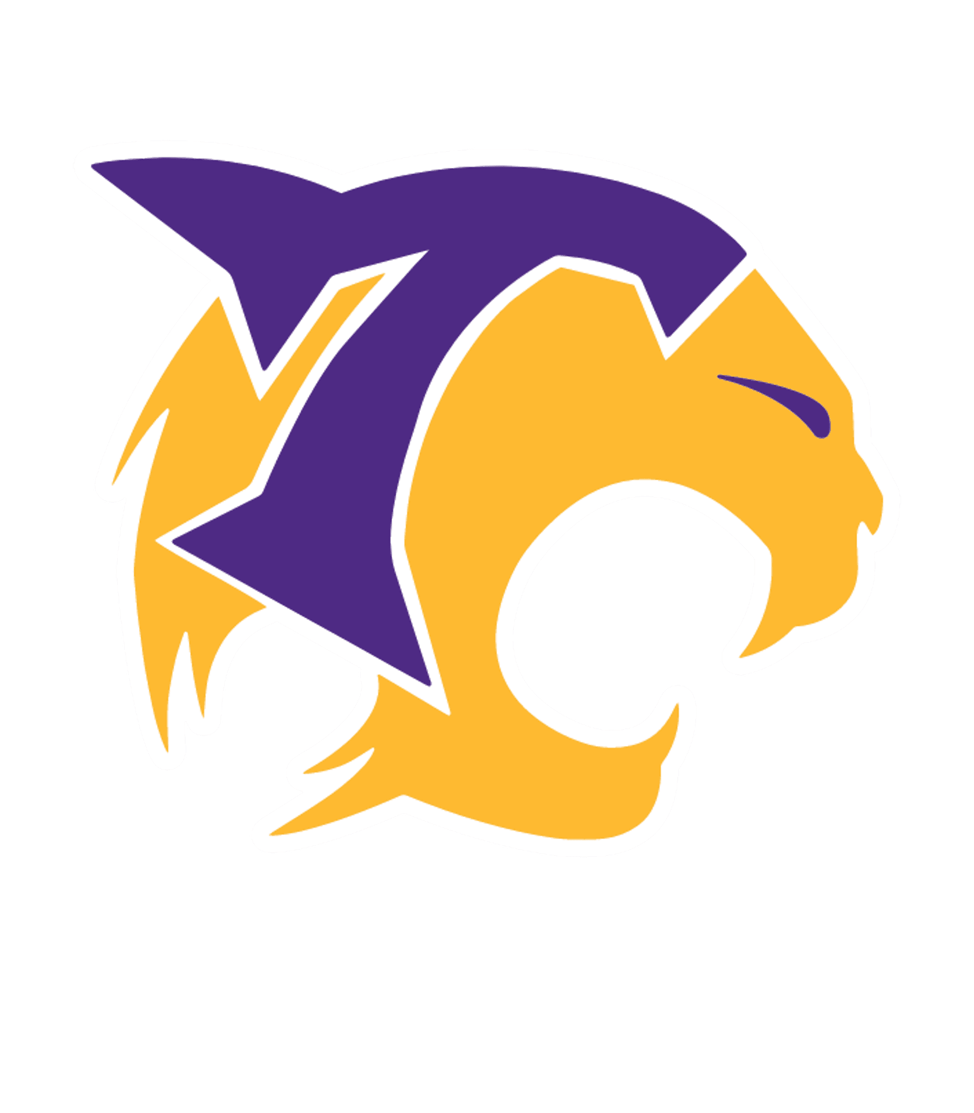 Hot Springs County High School Logo
