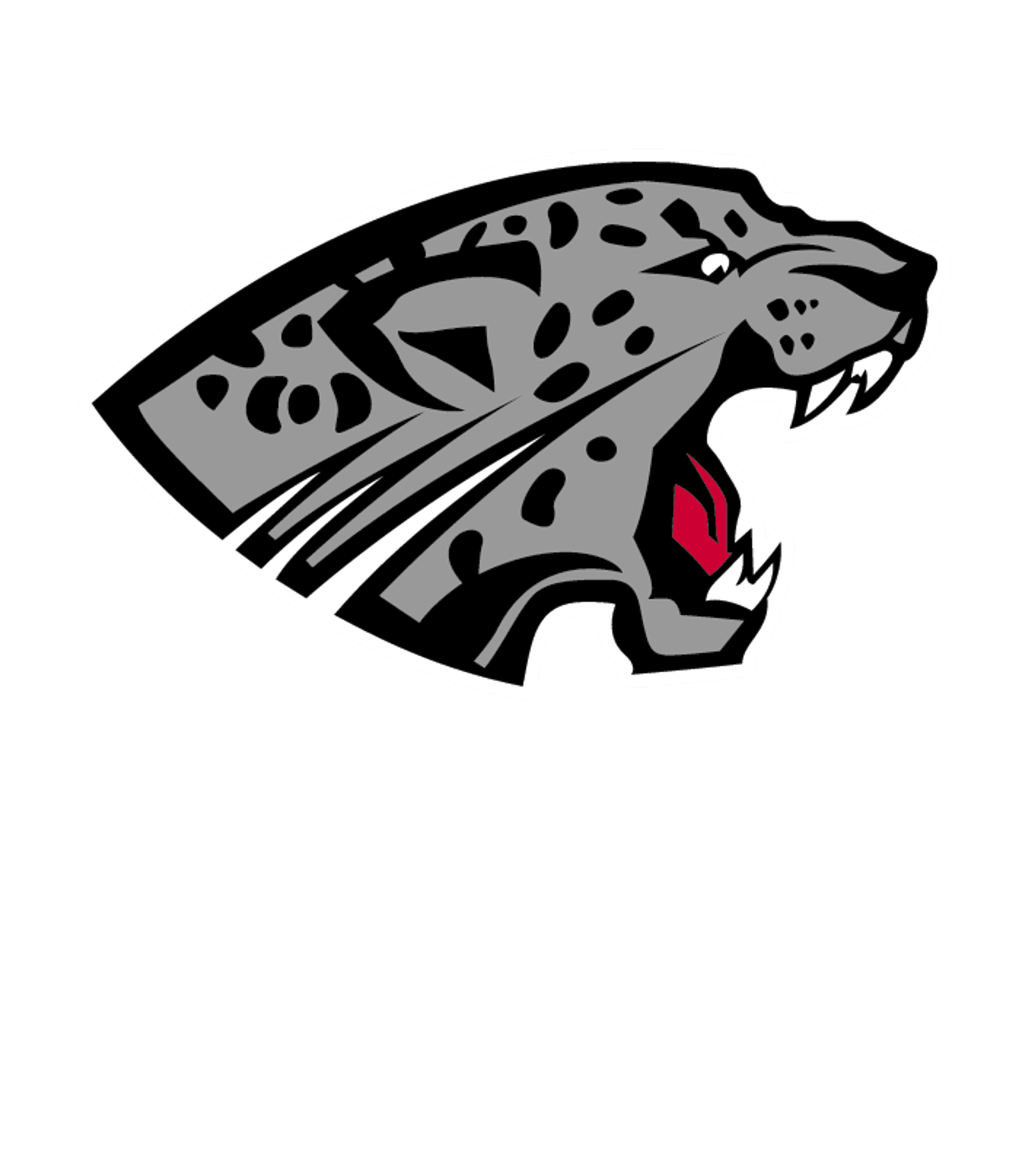 HINCKLEY-FINLAYSON SECONDARY Logo