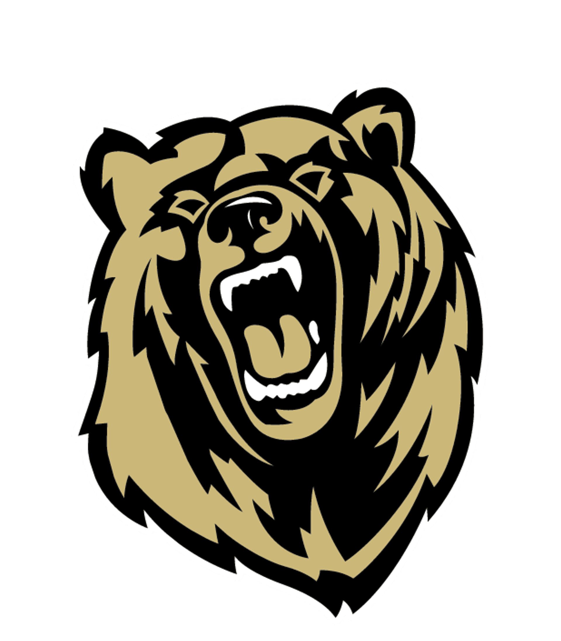 Bear Creek High School Logo