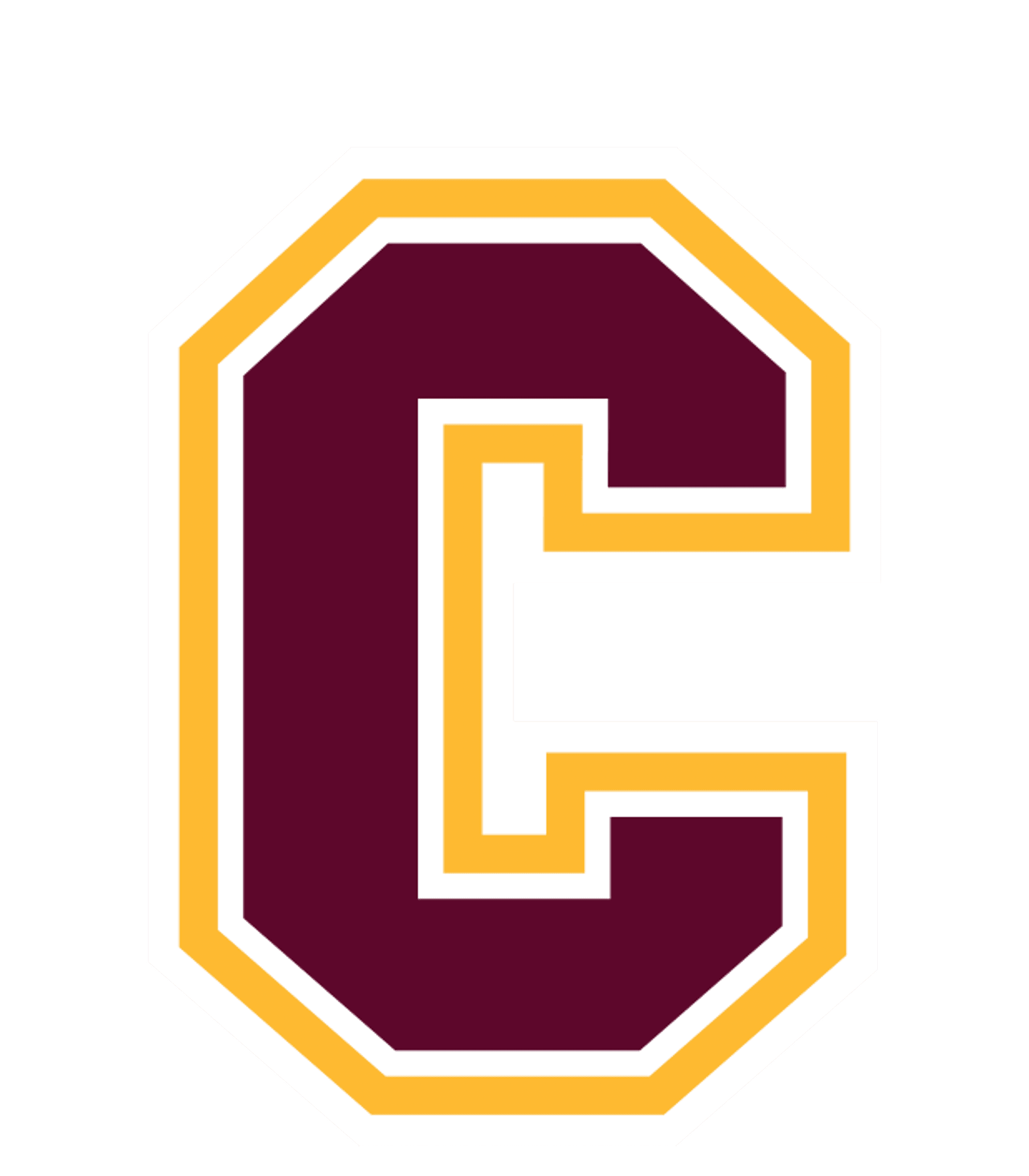 Carlisle County High School Logo