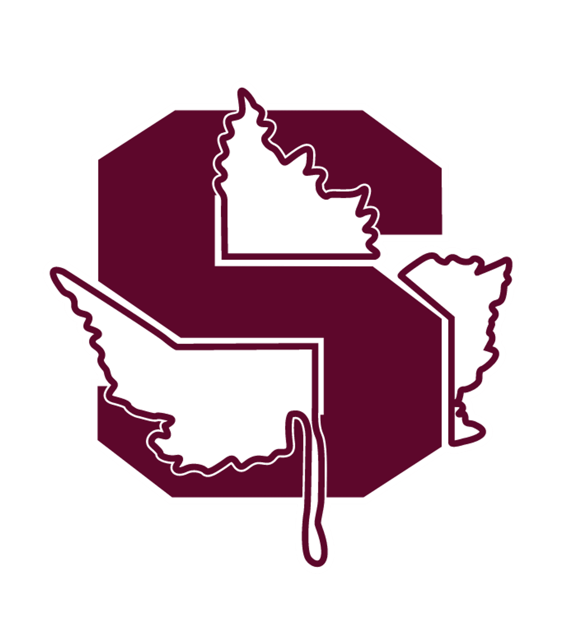 Ernest W Seaholm High School Logo