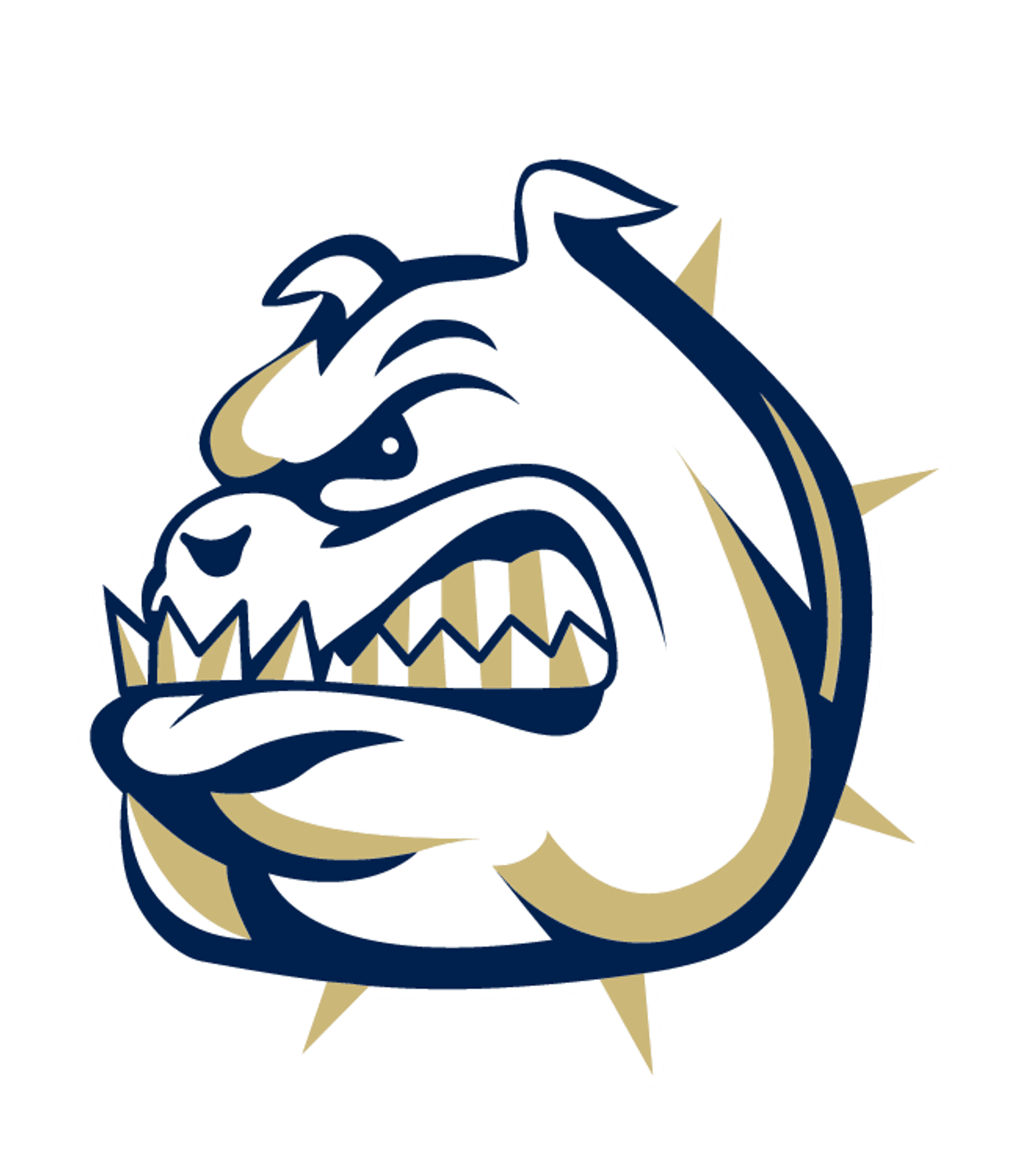 Fairdale High Logo