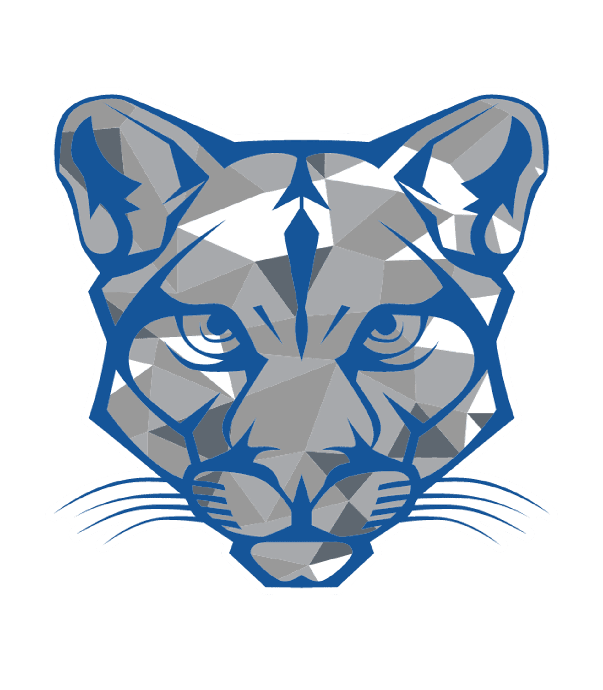 CAM  Jr./Sr. High School Logo