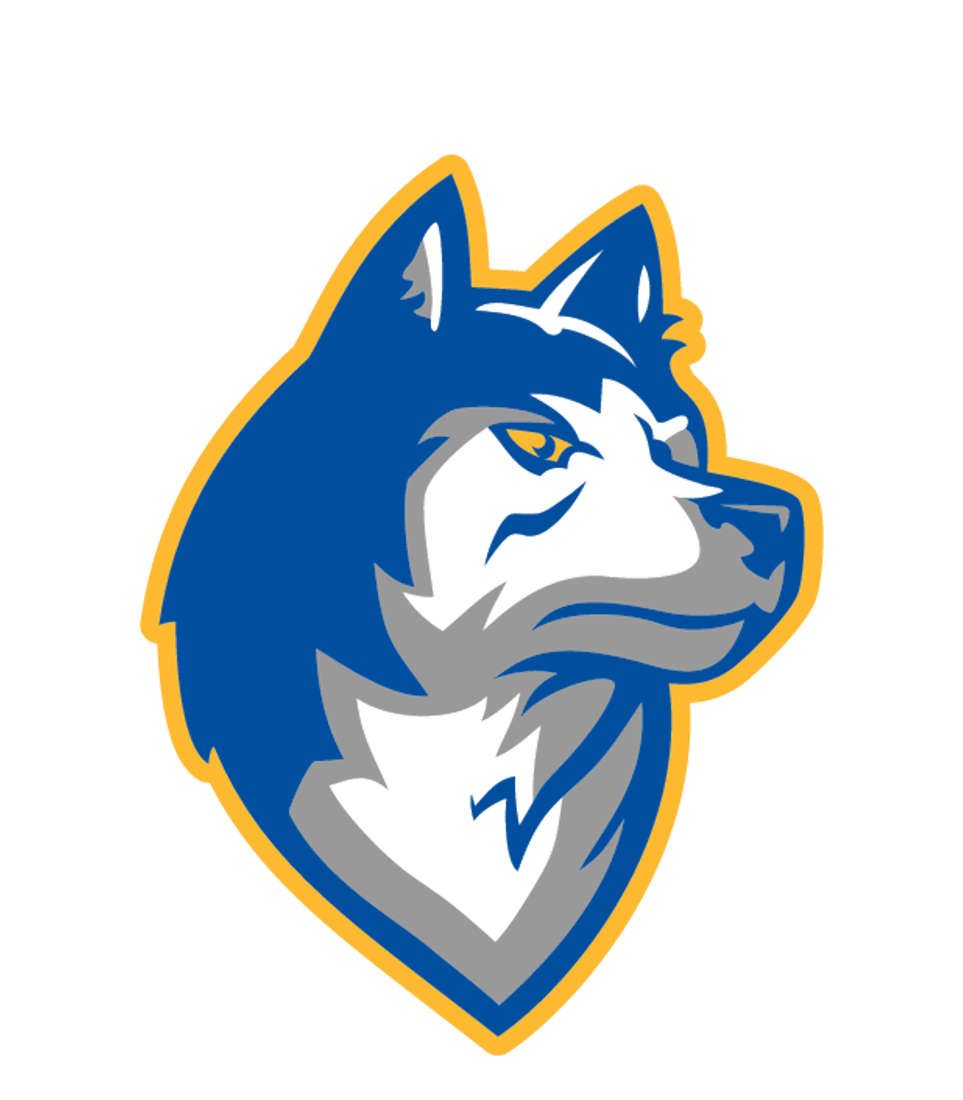 BIGFORK SECONDARY Logo