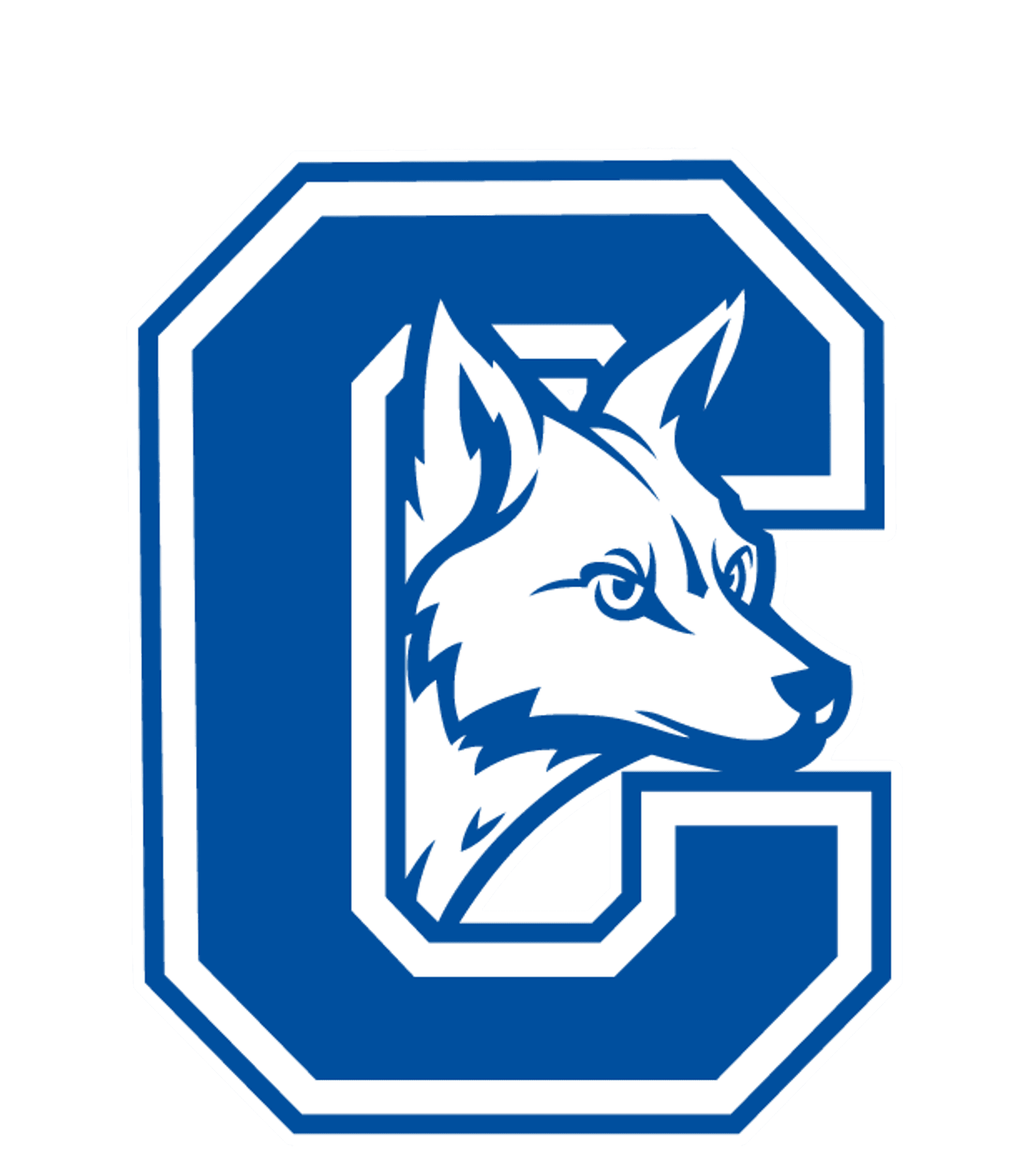 CANDOR JUNIOR-SENIOR HIGH SCHOOL Logo