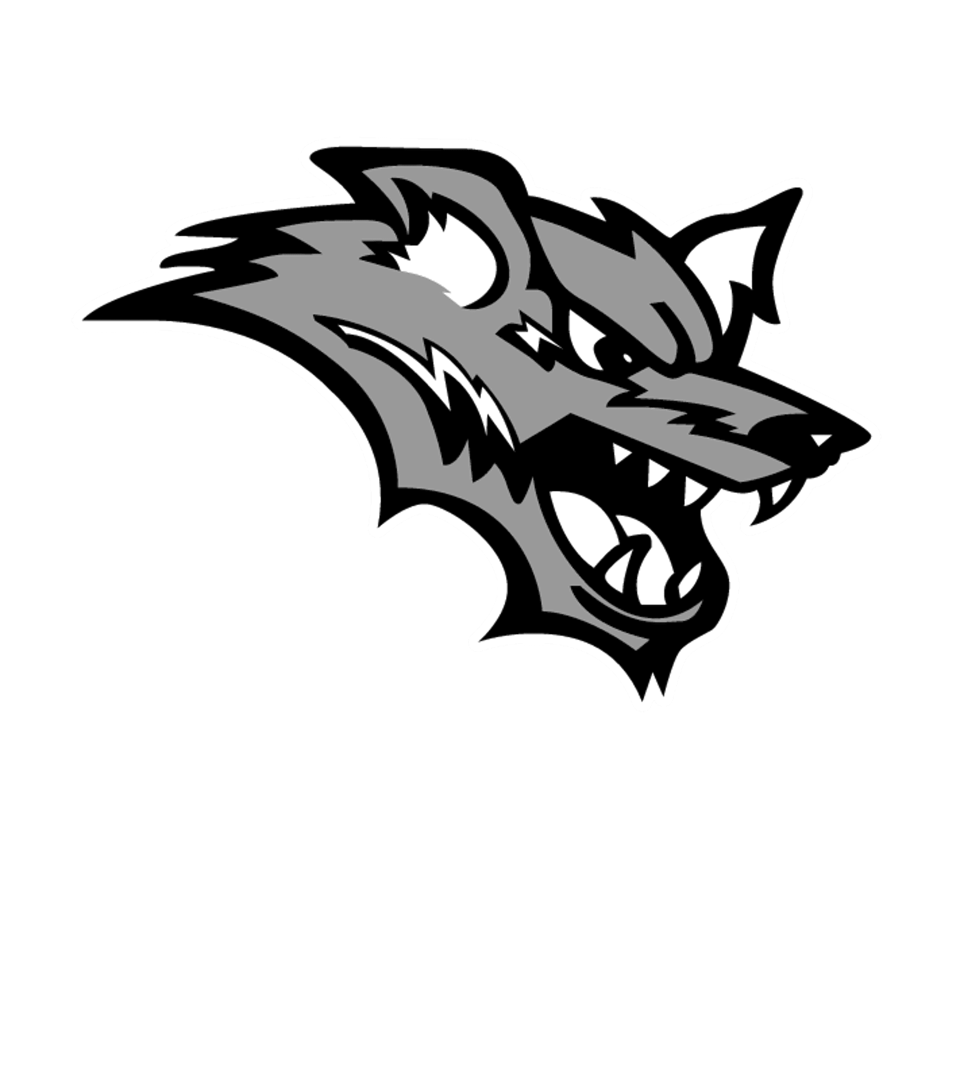 Conifer Senior High School Logo