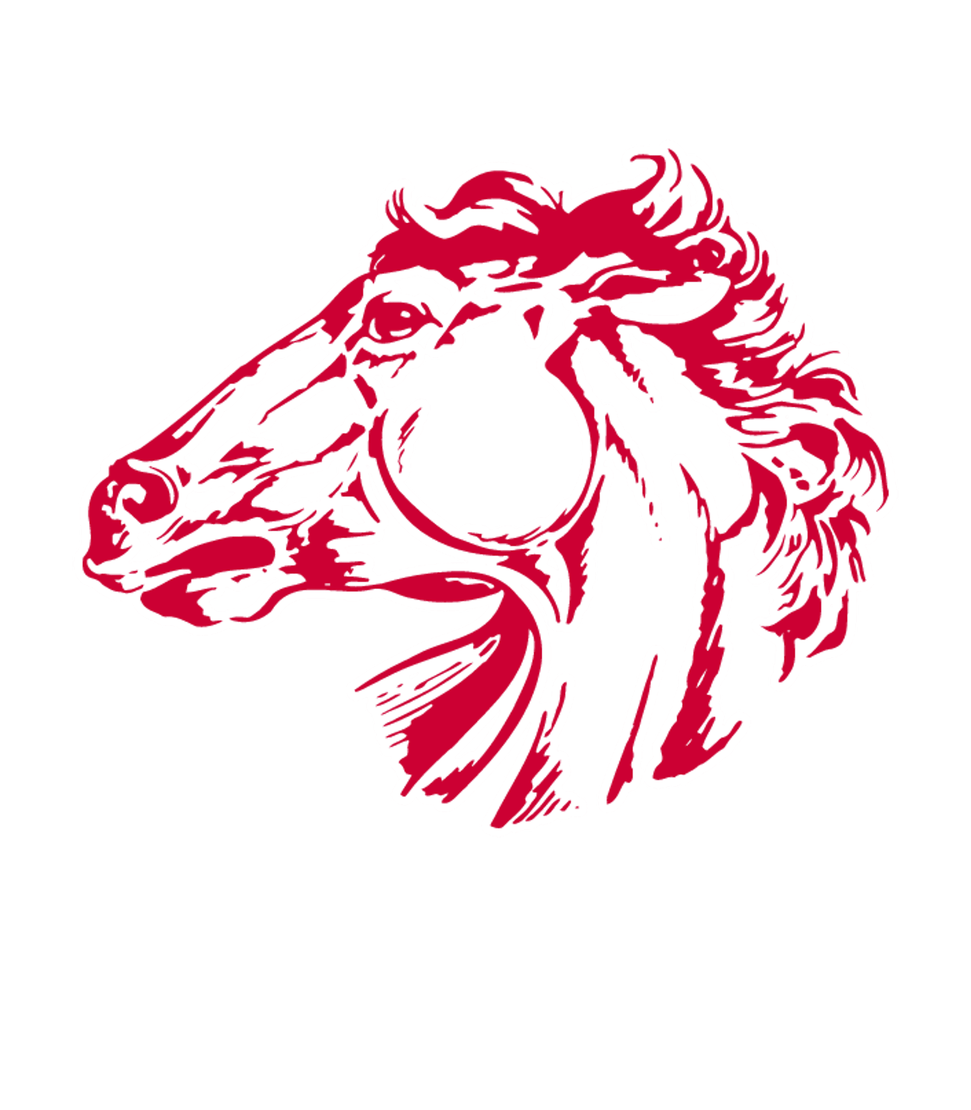 Conner High School Logo