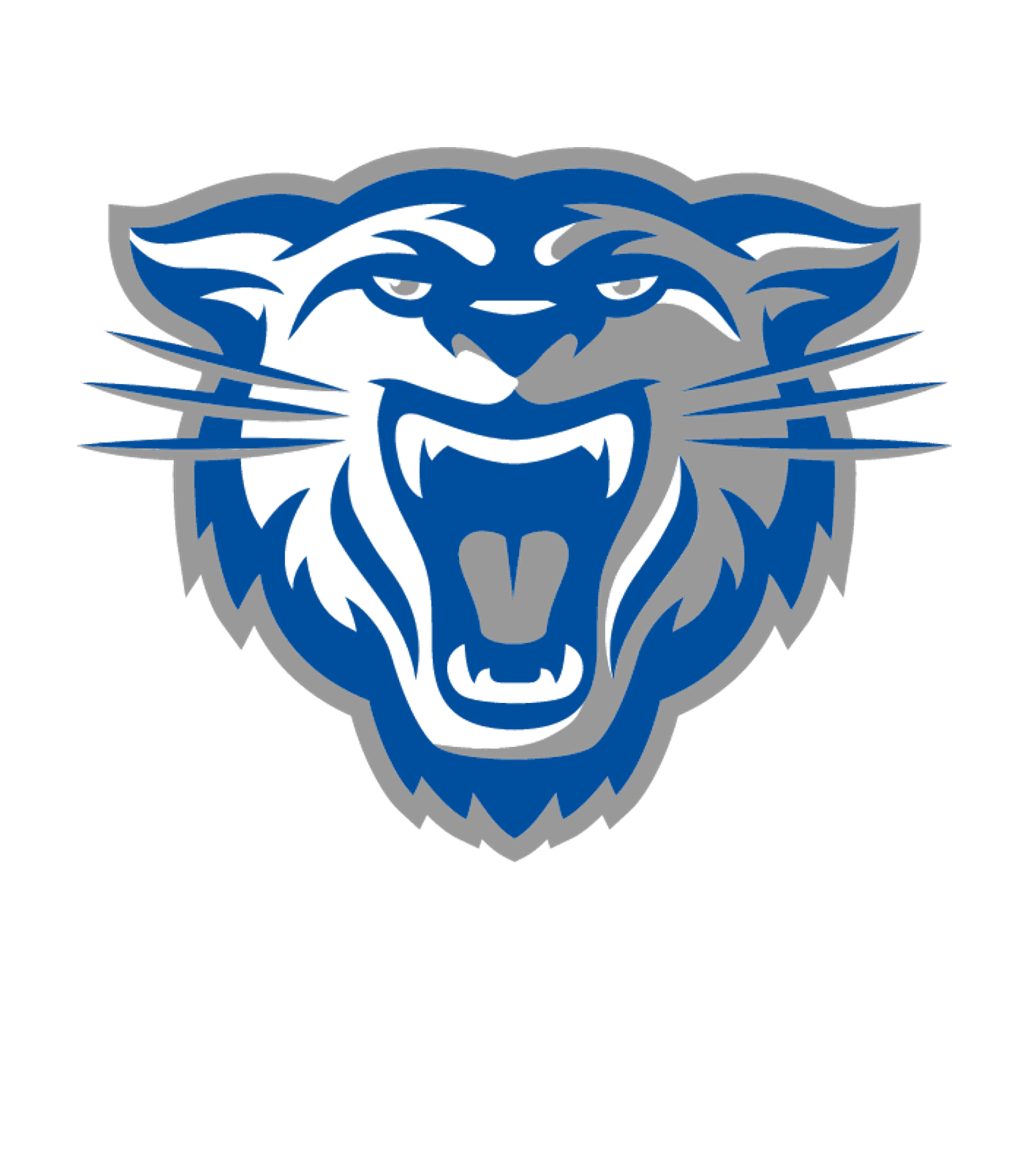 CONWAY HIGH SCHOOL Logo