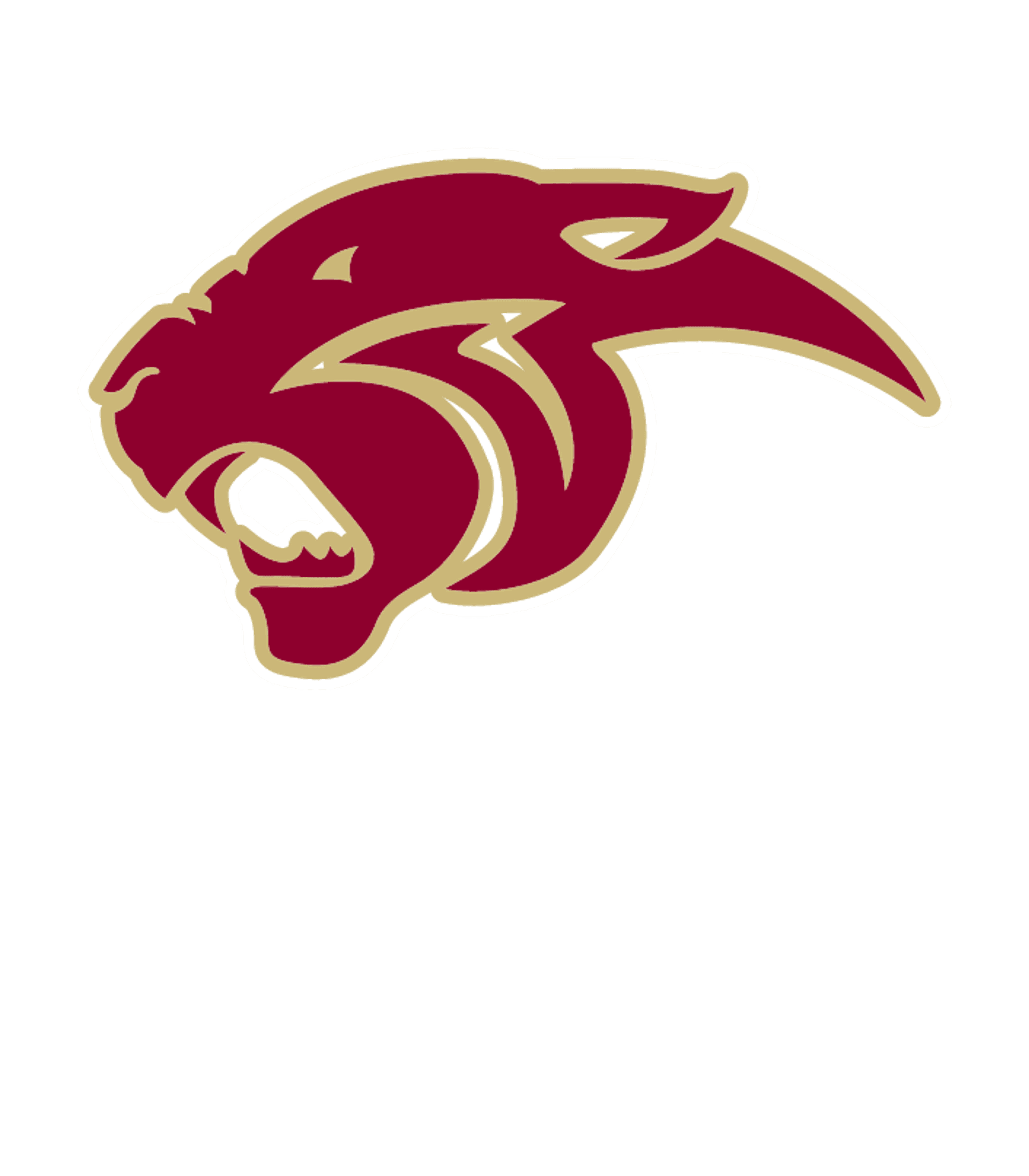 COUNTRYSIDE HIGH SCHOOL Logo