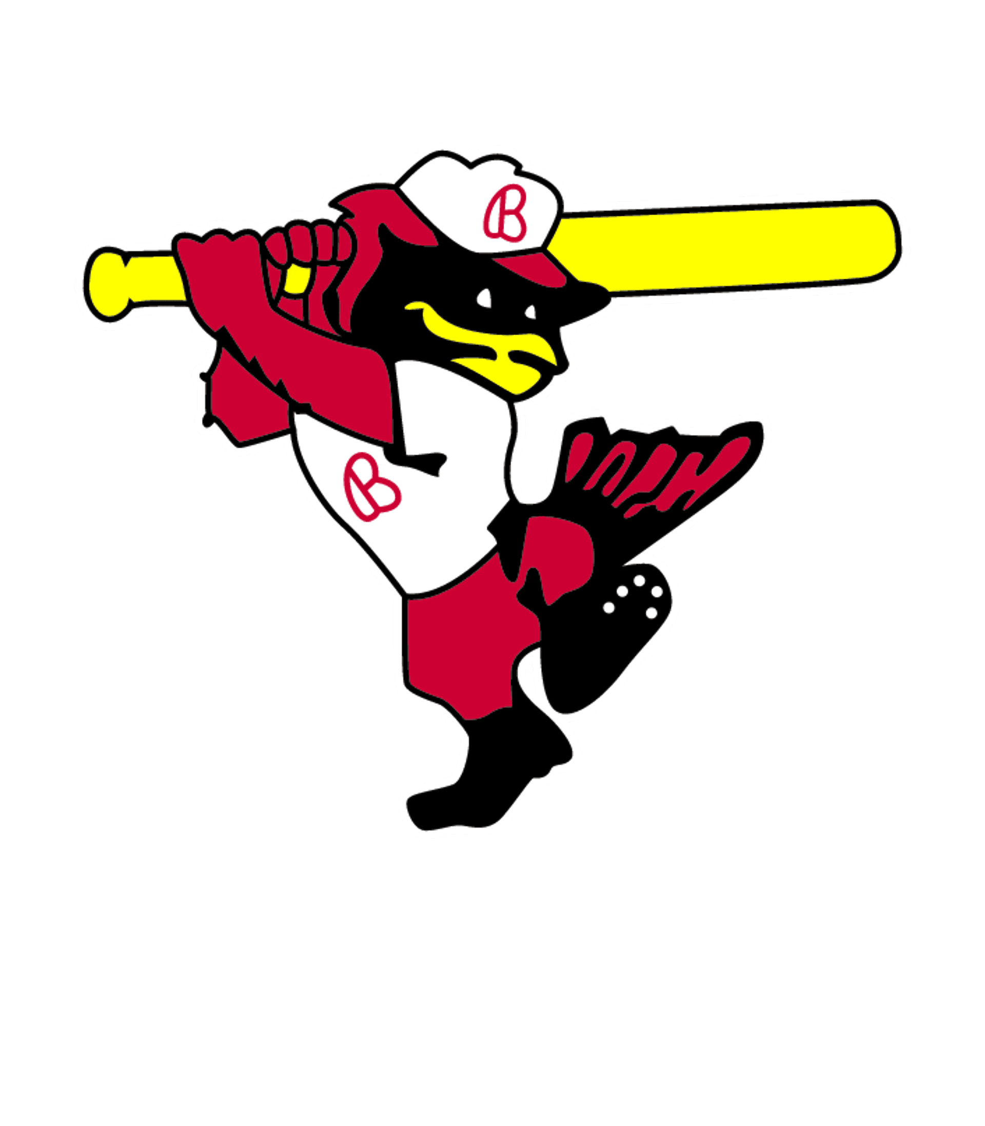 BELLAIRE H S Logo