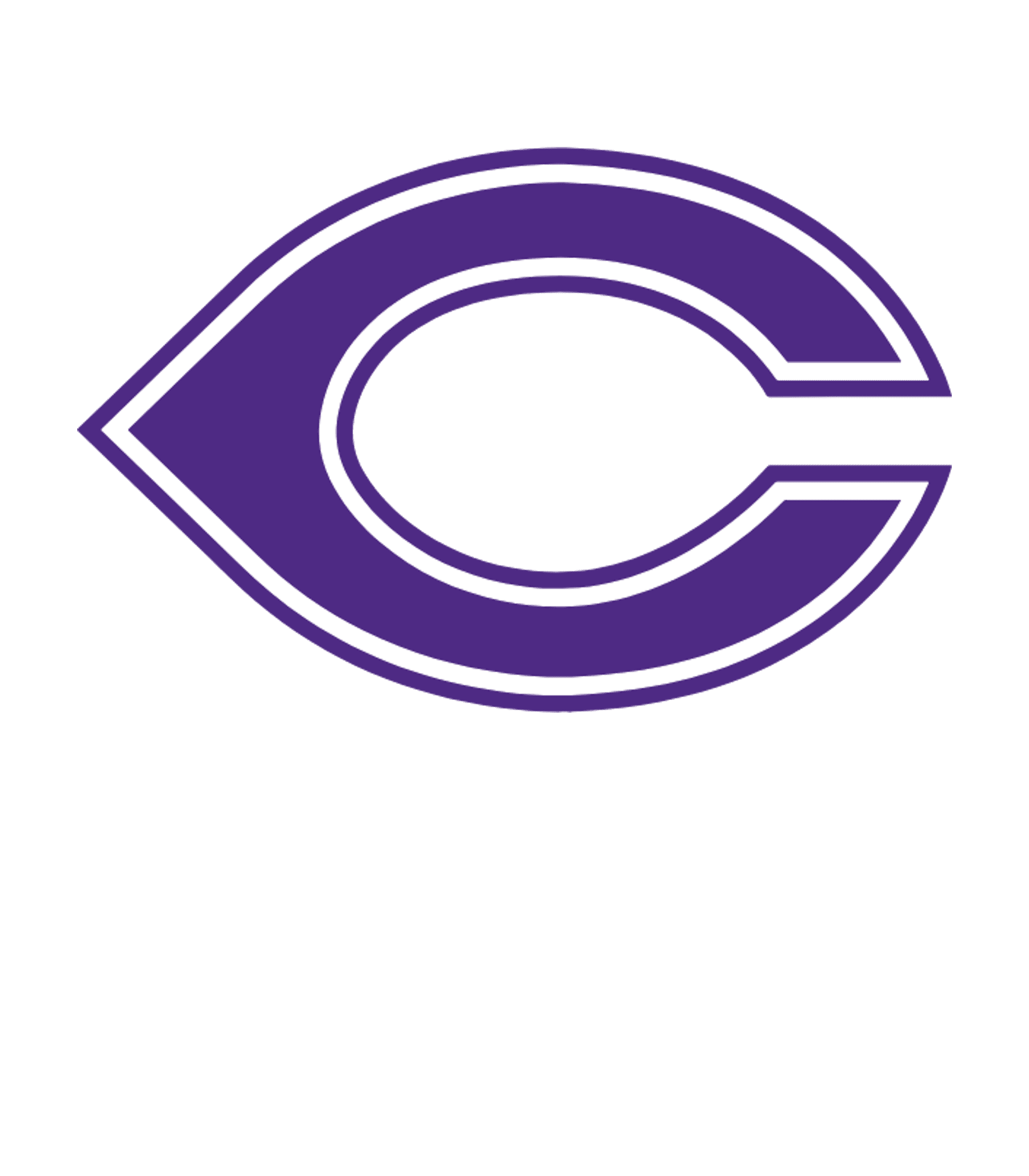 Carlsbad Village Academy Logo