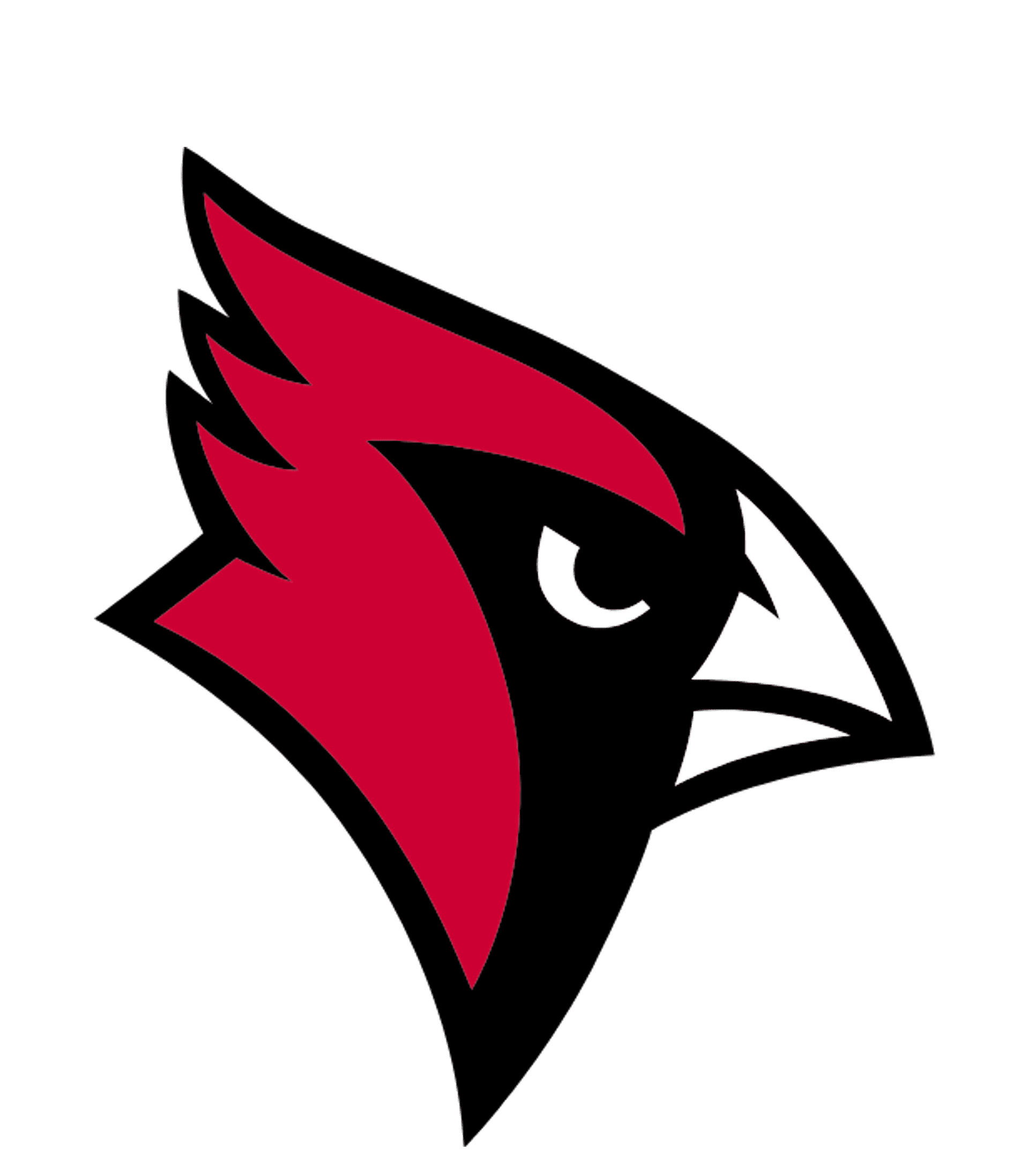 Central Decatur MS/HS High School Logo