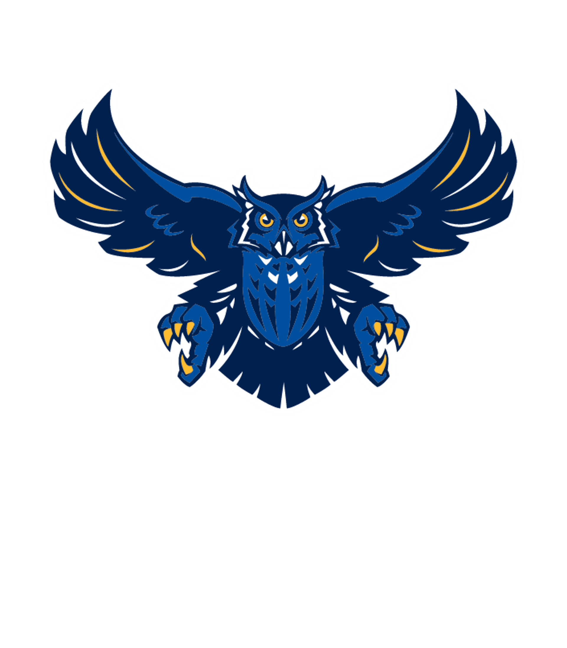 CENTER H S Logo