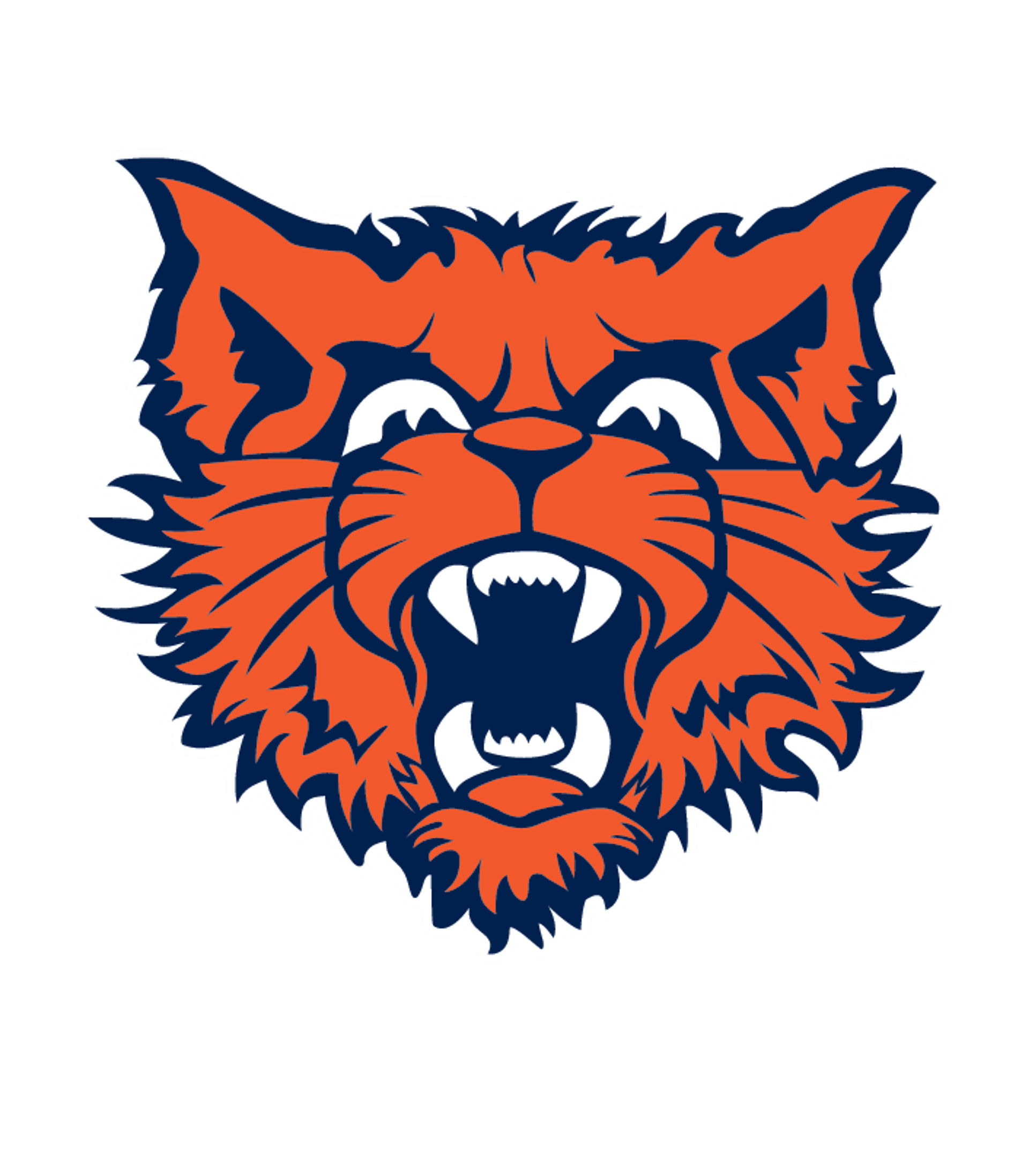 Evanston Twp High School Logo