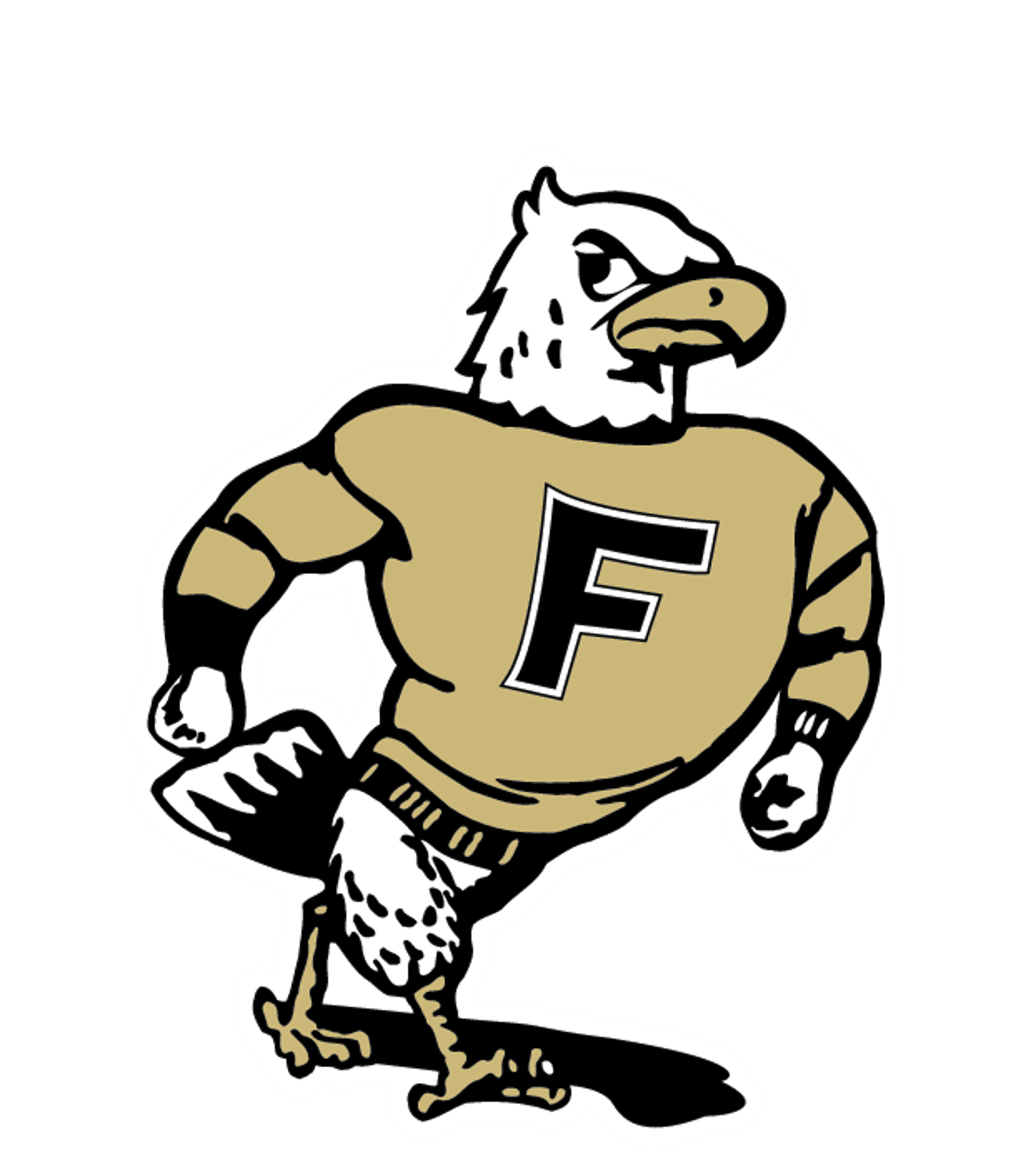 FAYETTE HIGH Logo
