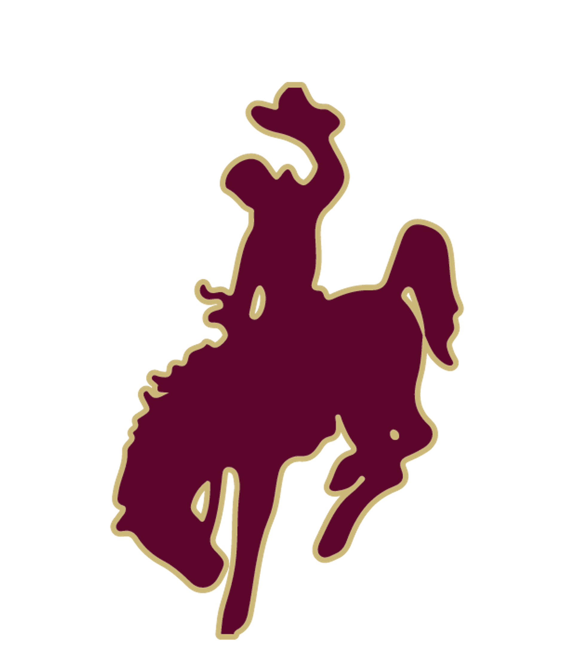 COTULLA H S Logo