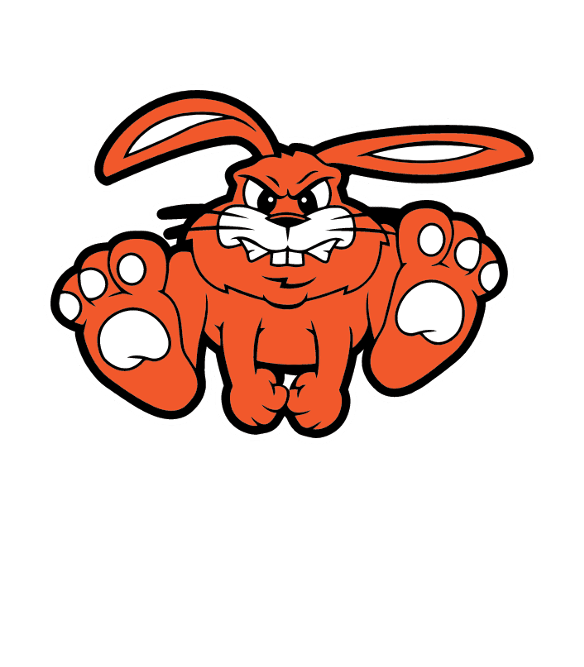 Fisher Jr/Sr High School Logo