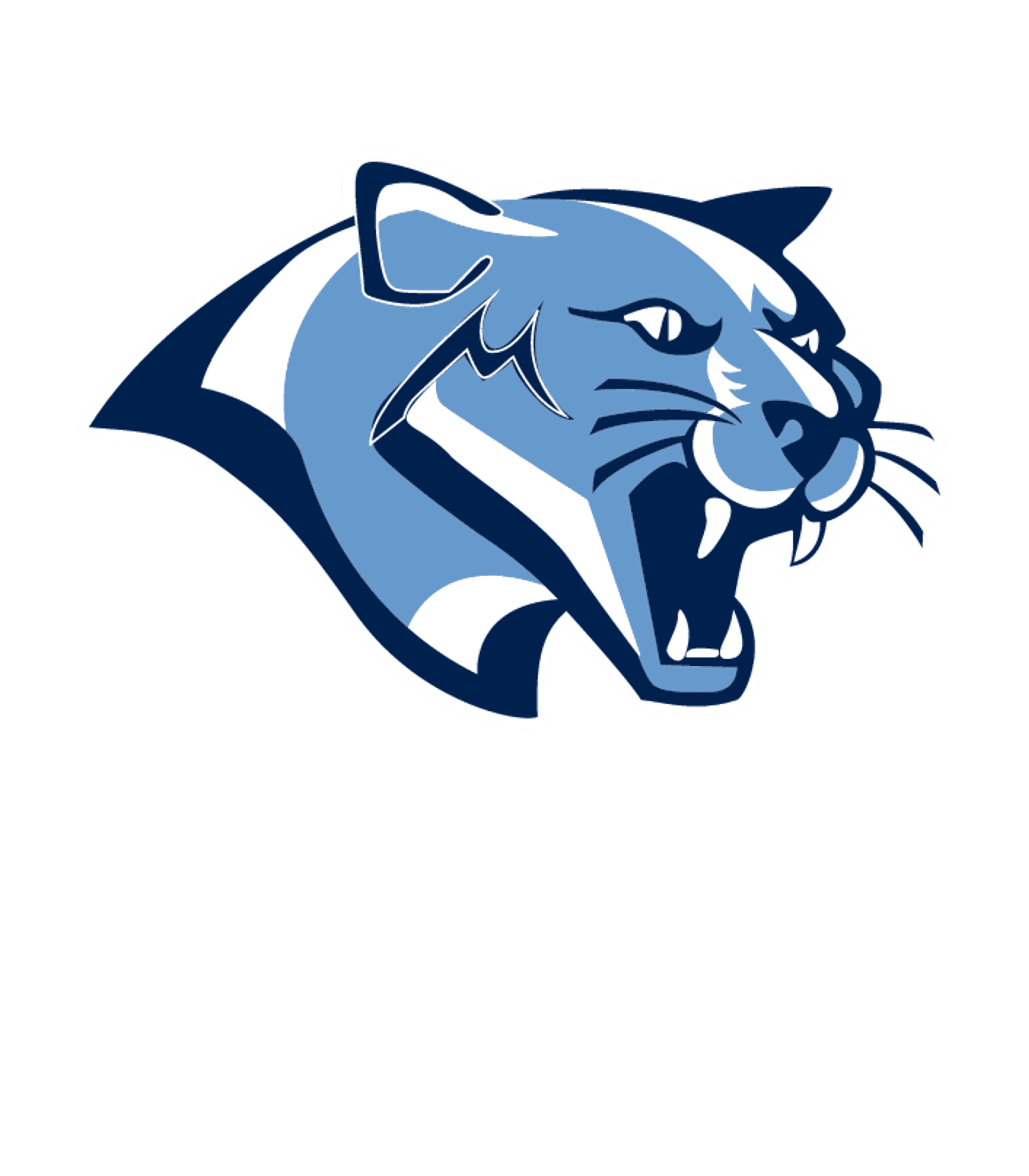 CEDAR MOUNTAIN SECONDARY Logo