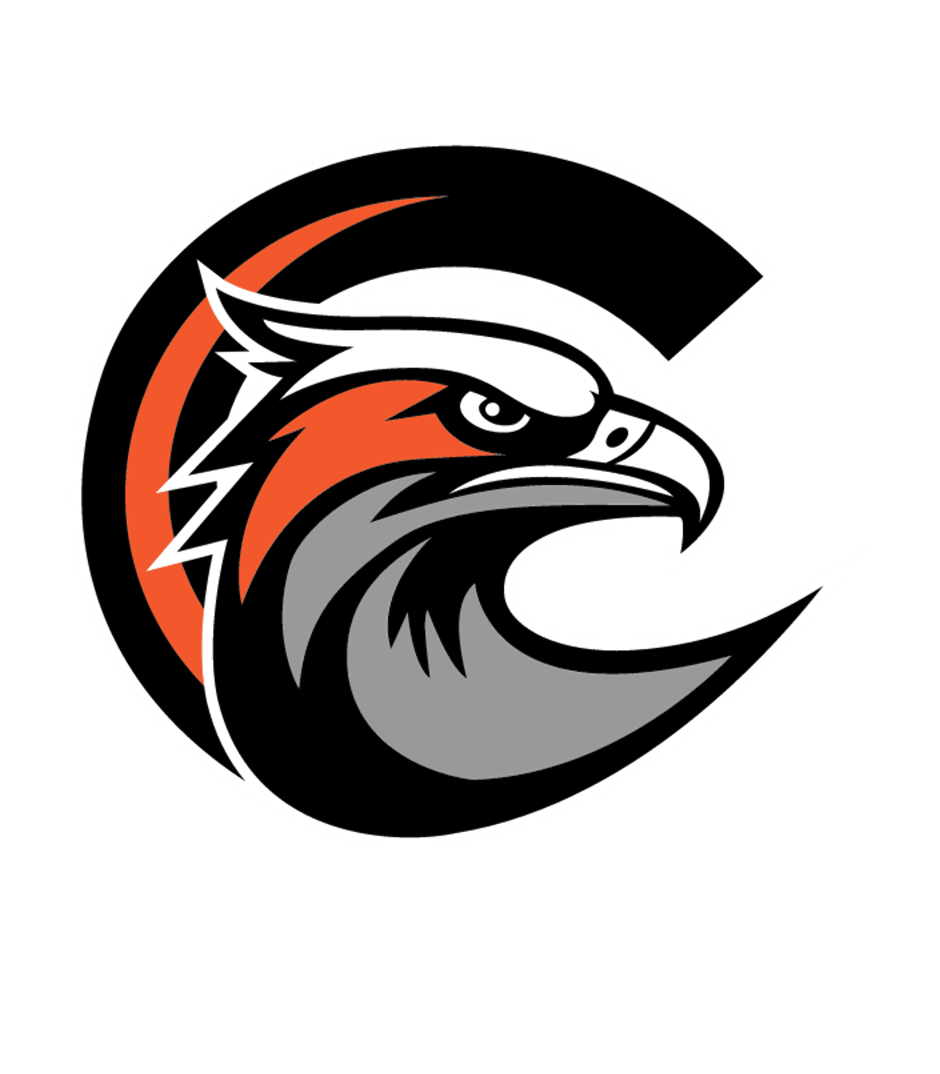 COOPERSTOWN JUNIOR/SENIOR HIGH SCHOOL Logo