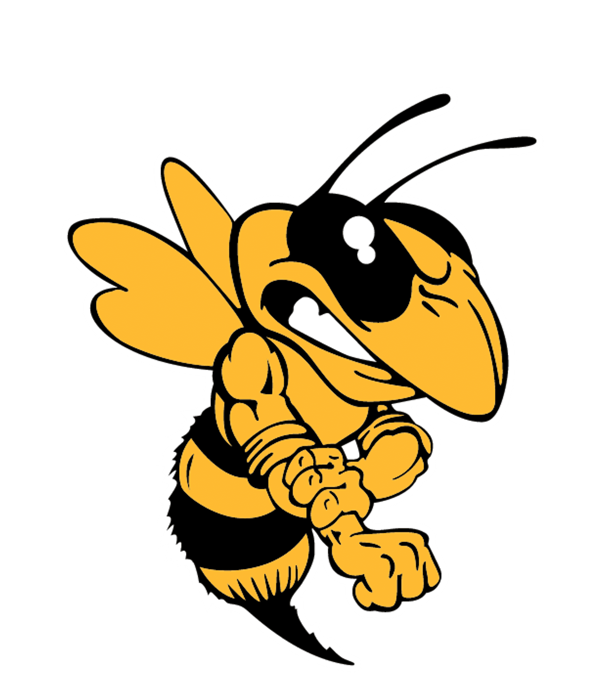 COPPERAS COVE H S Logo