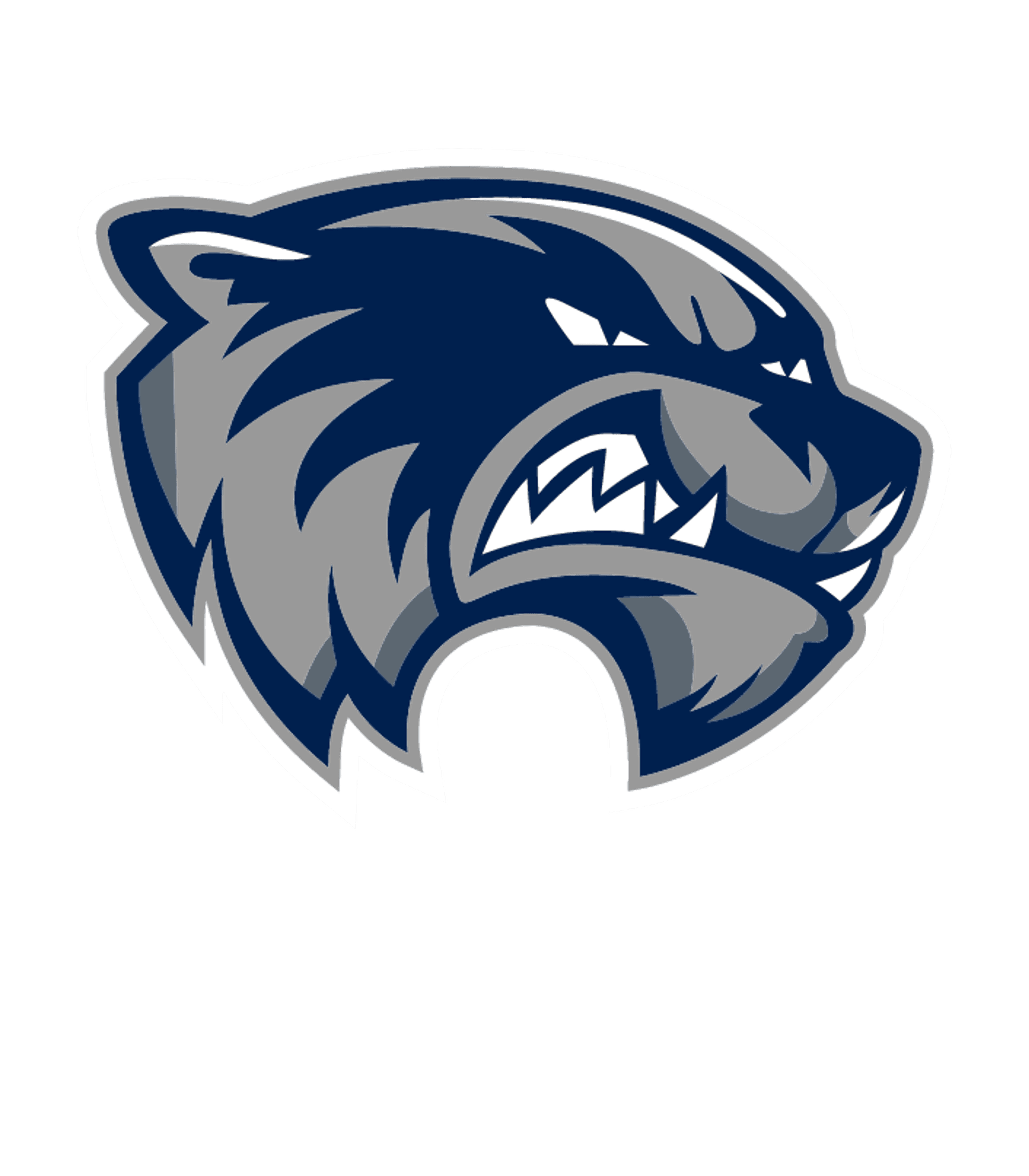 GLENVILLE-EMMONS SECONDARY Logo
