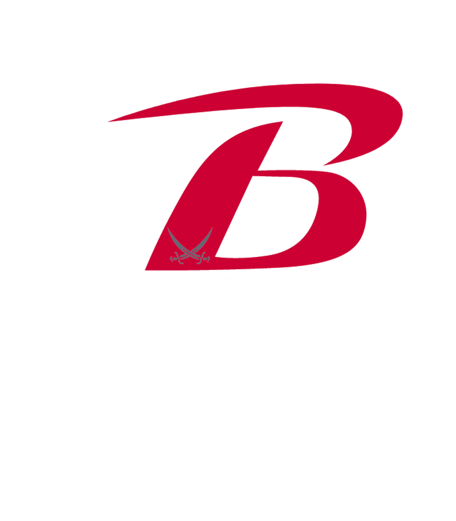 Berrien Academy Performance Learning Center Logo