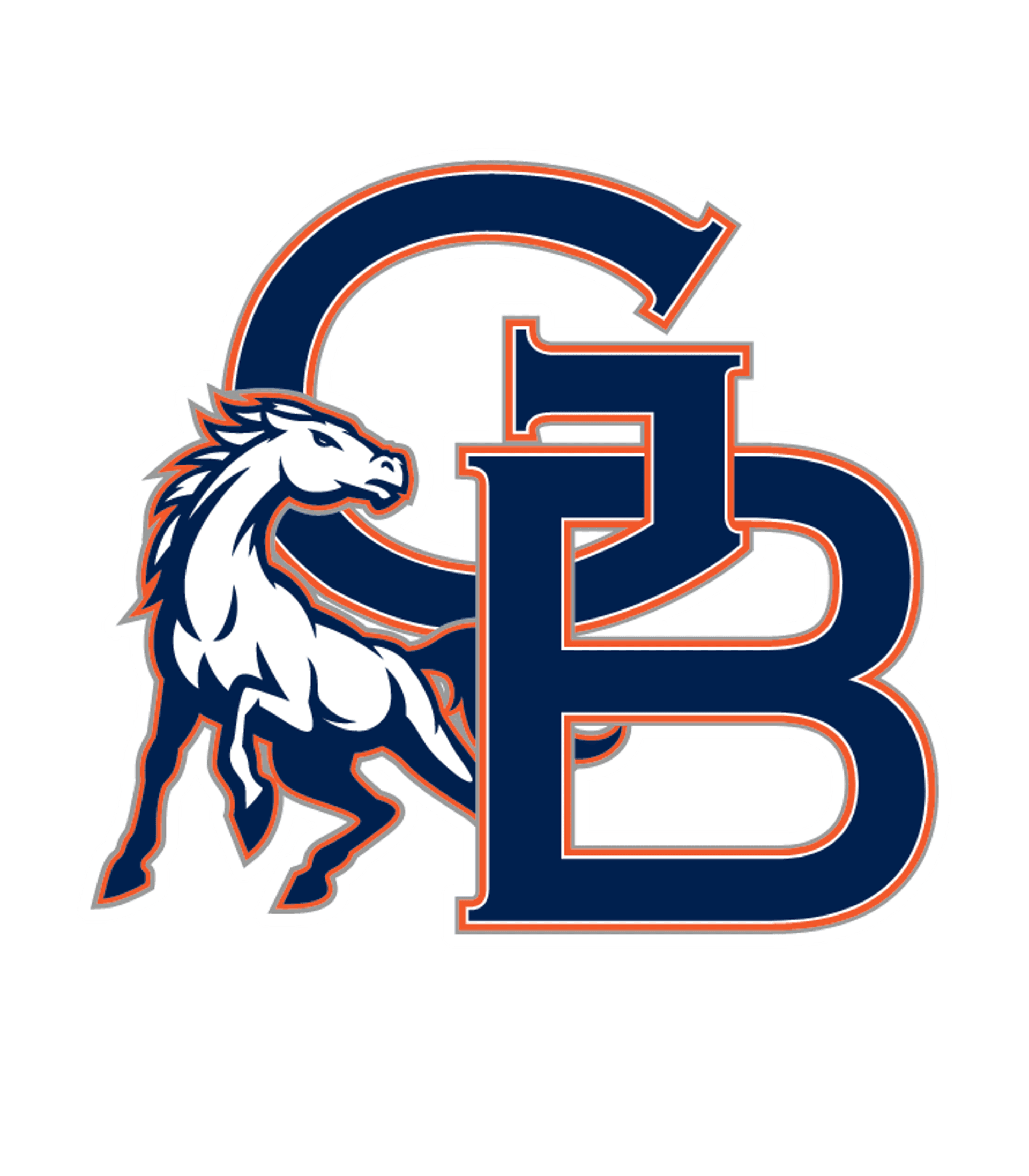 GEORGE BUSH H S Logo