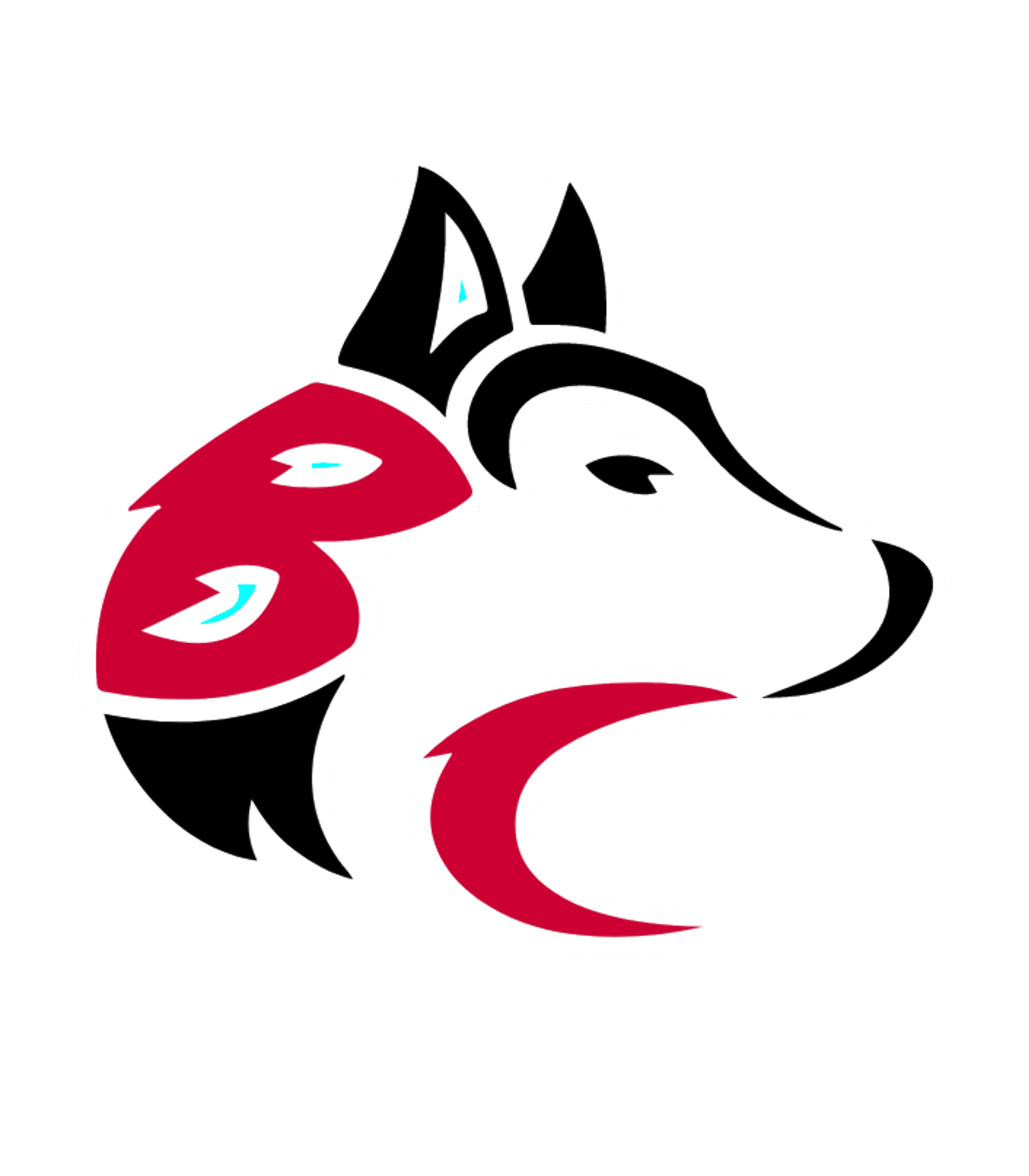 Benzie Academy Logo